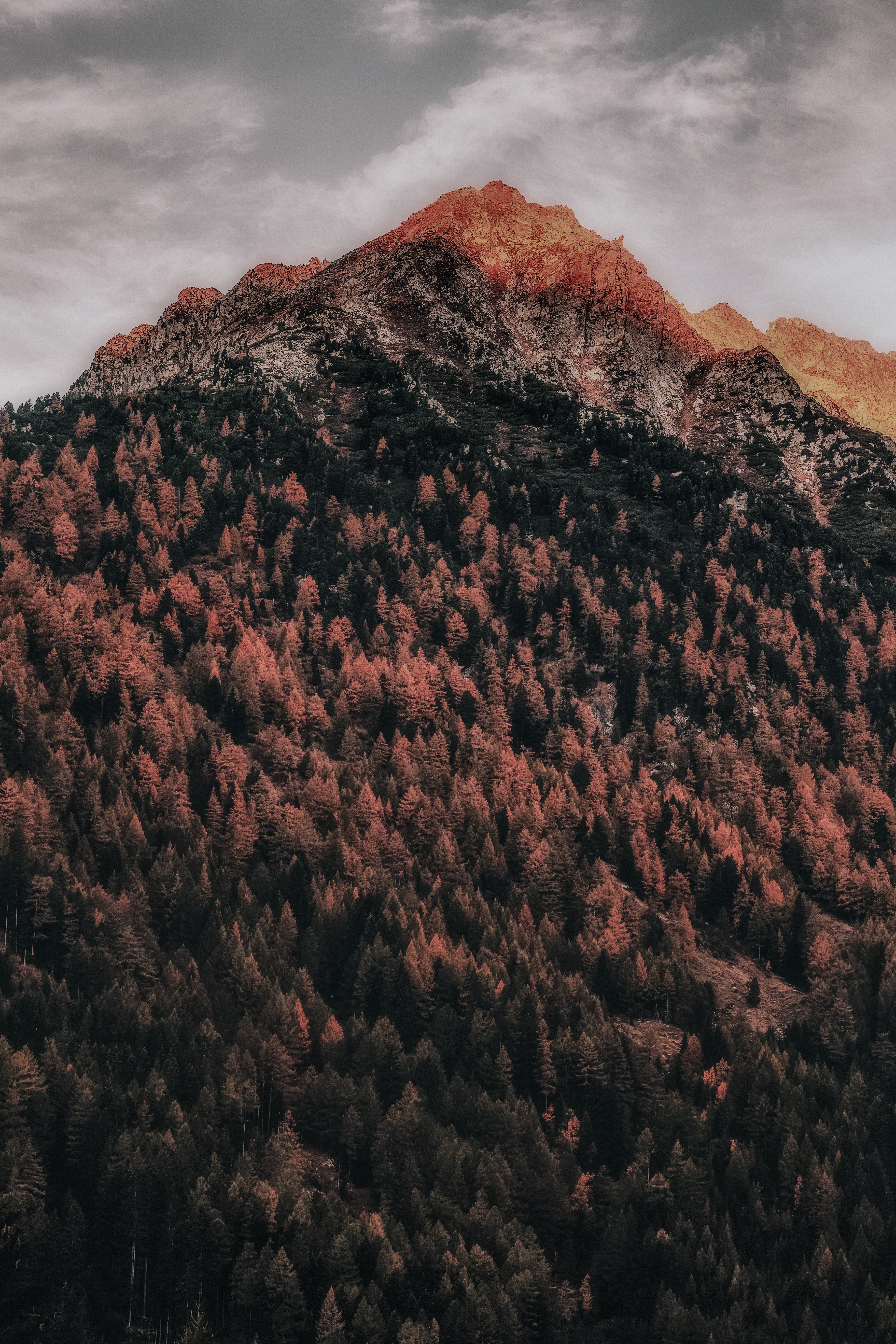 peak, italy, mountain, clouds, 5K, forest, zillertal alps, Phone HD Wallpaper