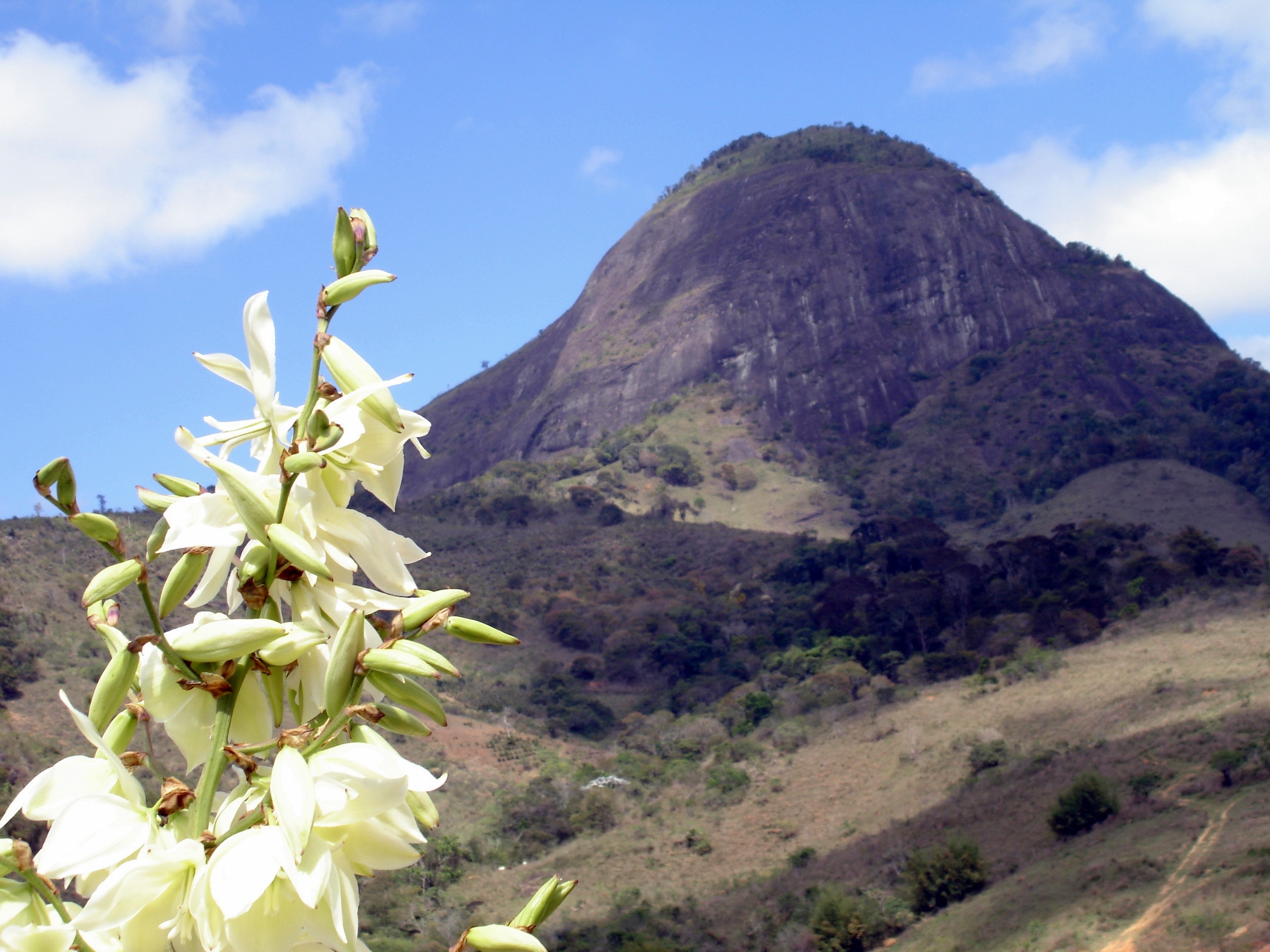 plant, freshness, nature, flower, brazil, fragility, mountain range, mountain peak, non-urban scene, outdoors, landscape, scenics - nature, pedra bonita mg, HD Wallpaper