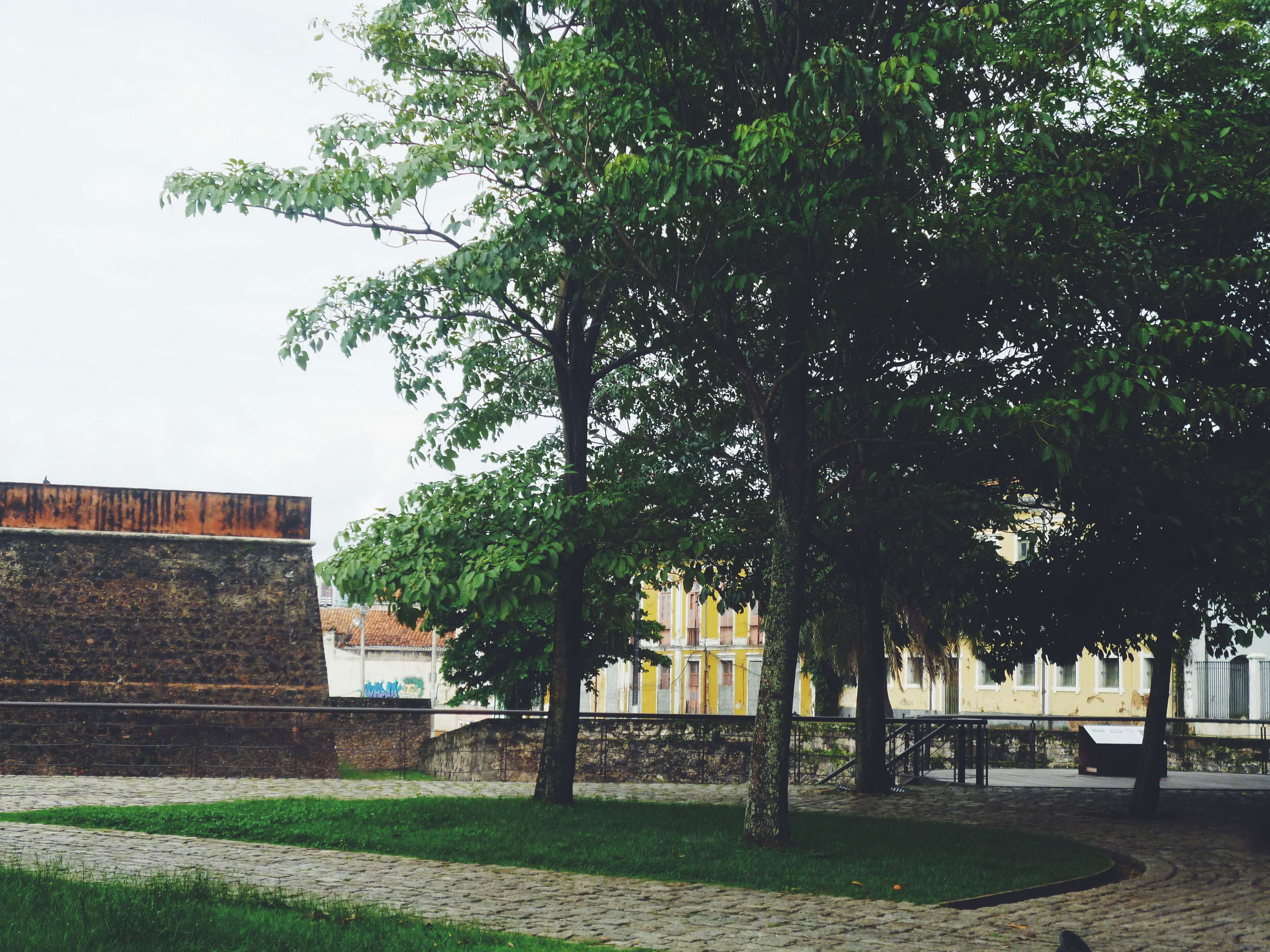 building, seat, castelo forte, par, park, outdoors, building exterior, grass, green color, paisagem, park - man made space, nature, plant, trunk, architecture, HD Wallpaper