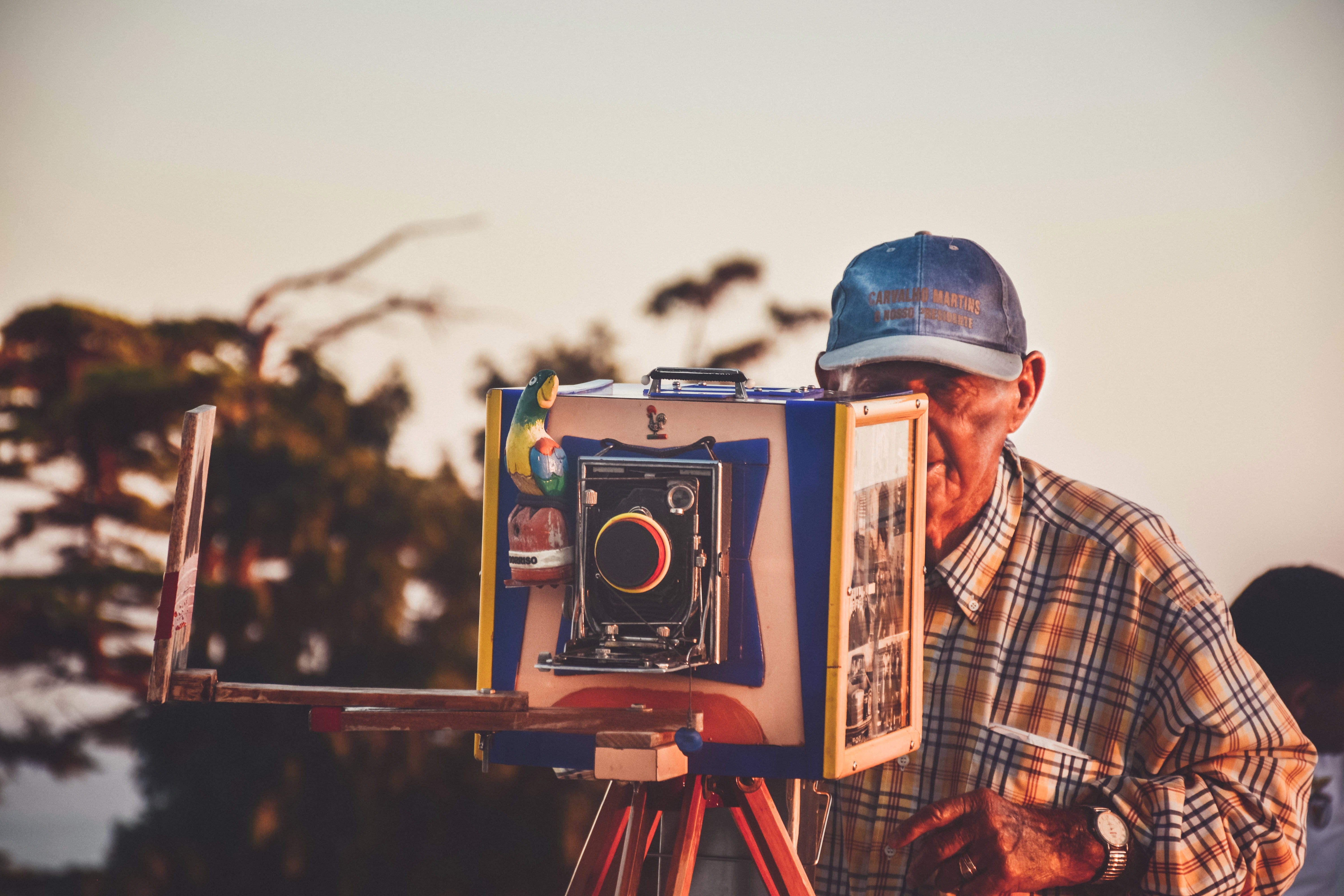 activity, photographer, camera operator, photography themes, bird, retro styled, art and craft, males, focus, retro camera, portrait, men, old photography, HD Wallpaper