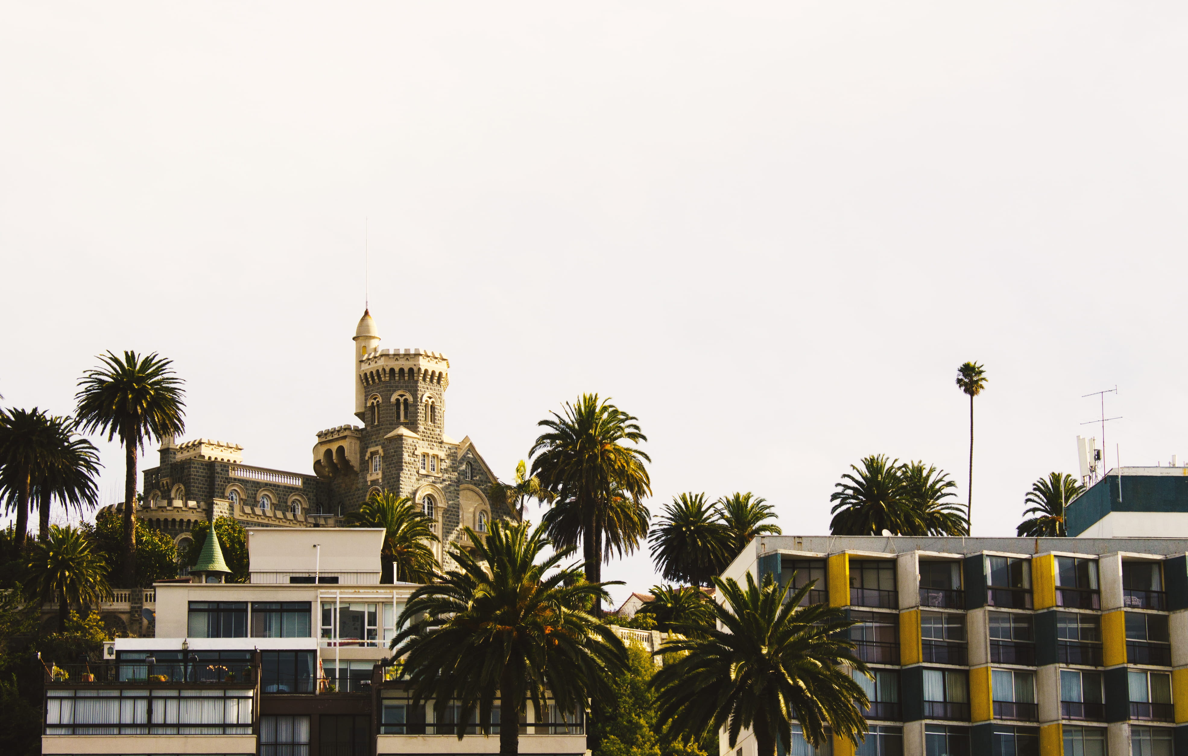 green, forest, castle, trees, copy space, residential district, palm tree, viña del mar, well, colors, apartment, castelo, plant, no people, yellow, view, HD Wallpaper