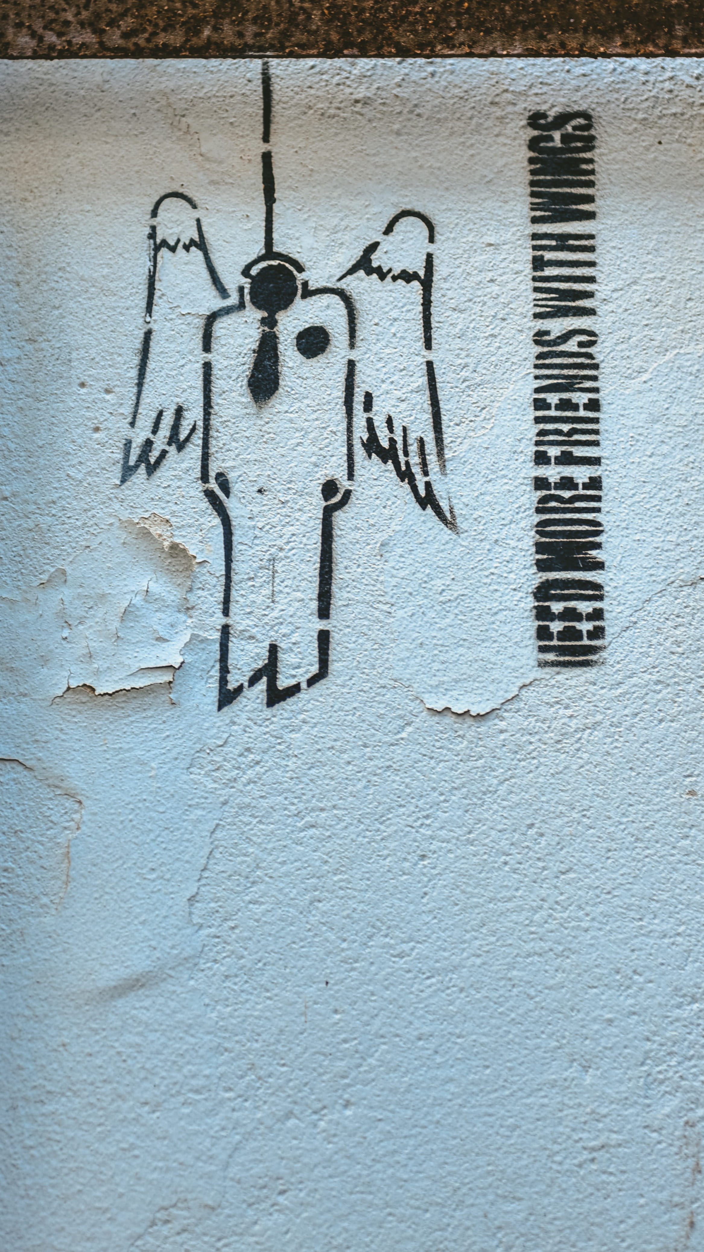 angel friends, urban, western script, dead, wall - building feature, portugal, day, painting, drawing, tag, mural, outdoors, art and craft, sign, communication, Phone HD Wallpaper
