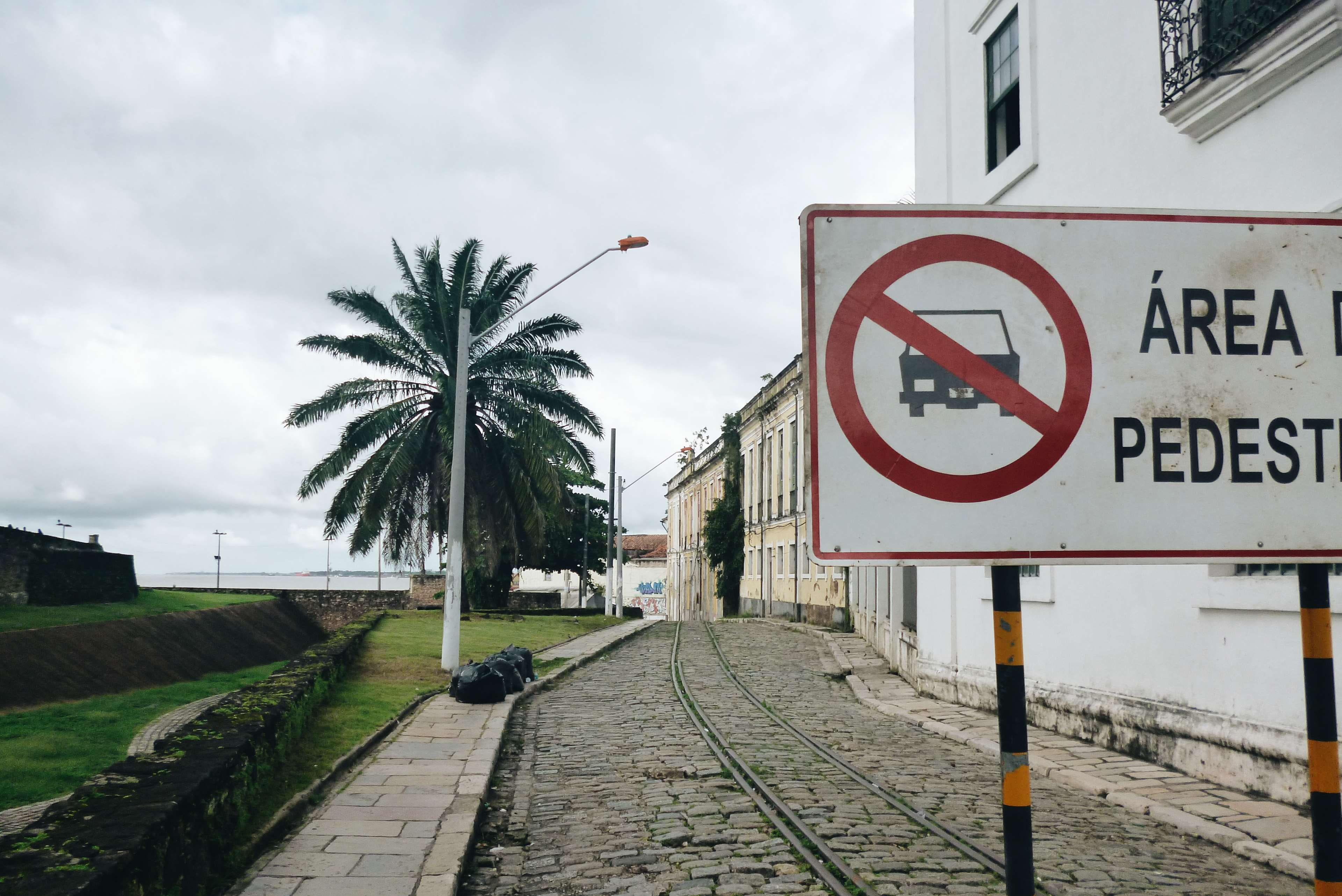 transportation, 4K, track, outdoors, day, sky, sign, tropical climate, no people, tree, city, rea de pedestres, direction, road, building exterior, architecture, HD Wallpaper
