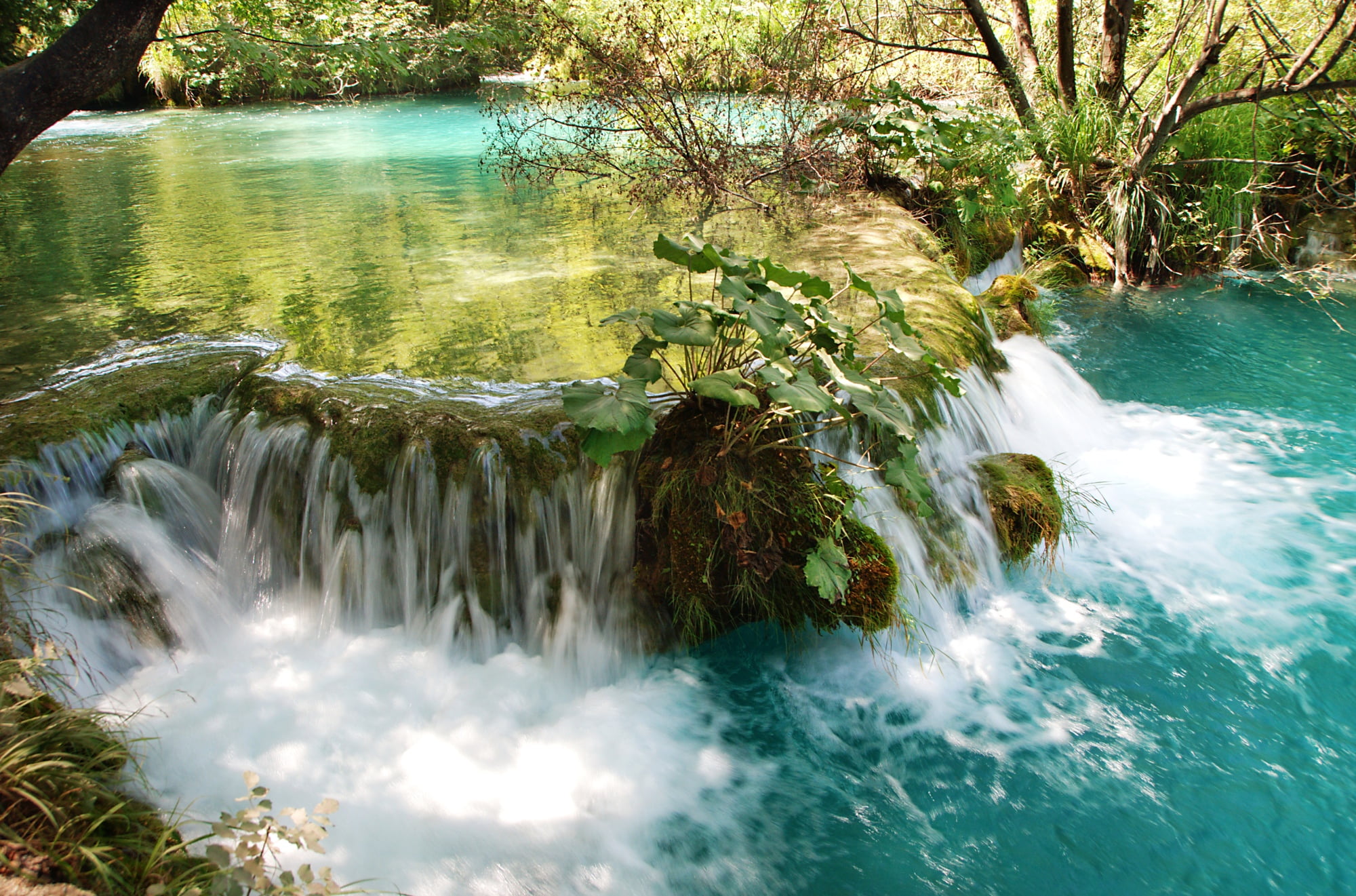 stream, outdoors, photo, waterfalls, trees, river, water, nature, waterfall, freshness, time, forest, tree, tropical Rainforest, day, Plitvice, Croatia, HD Wallpaper
