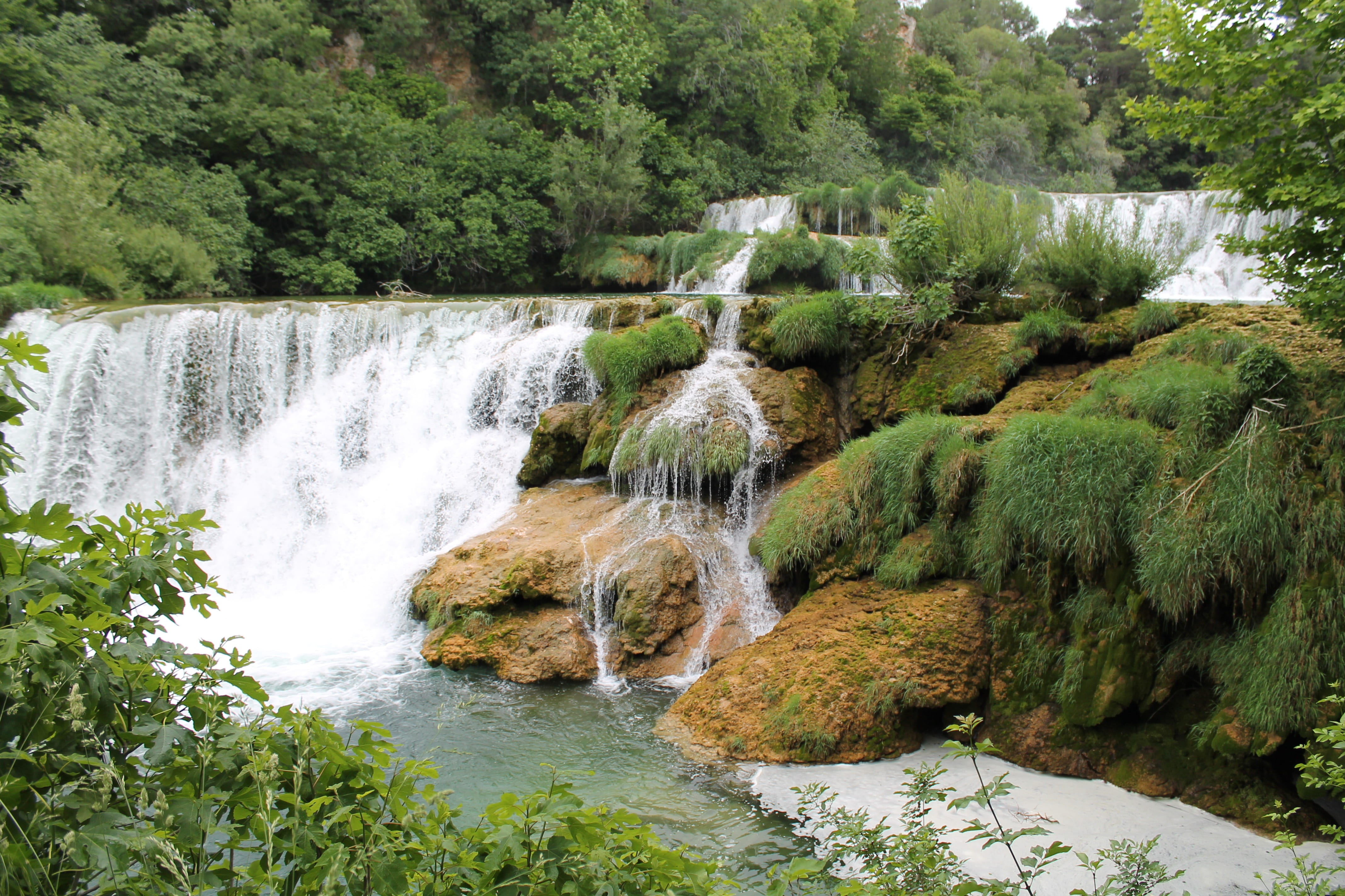 plant, no people, scenics - nature, Nature, river, scenery, beauty in nature, world natural heritage, nature reserve, fish, flowing water, rainforest, green color, HD Wallpaper
