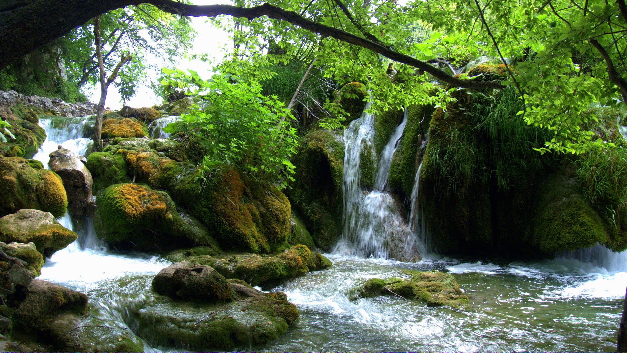 long exposure, forest, scenics - nature, power in nature, water, branches, trees, no people, rock - object, Croatia, Waterfalls, flowing, motion, flowing water, HD Wallpaper