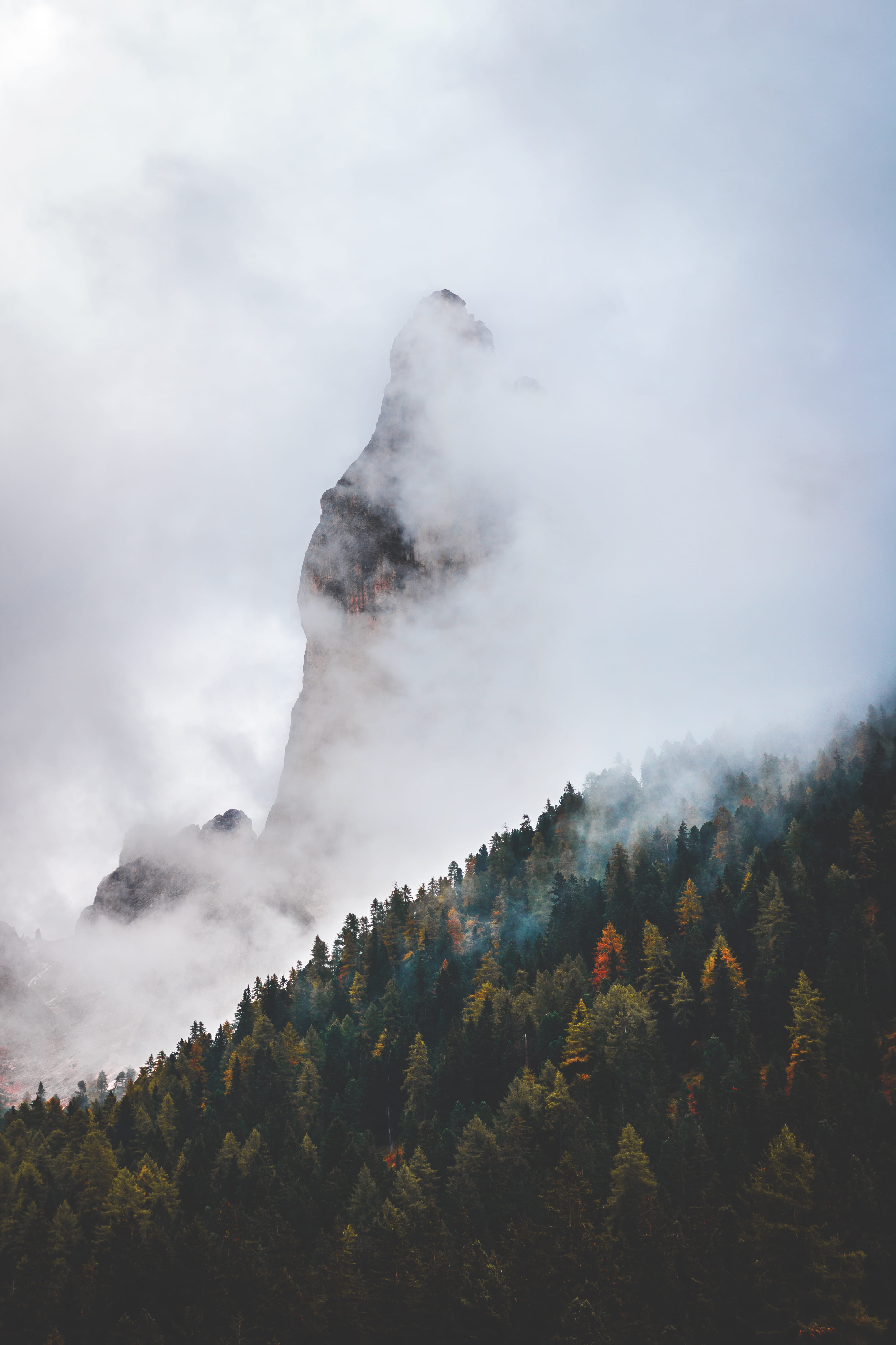 fog, nature, landscape, mountain Peak, 5K, sky, mountain Range, forest, clouds, cloud - Sky, wood, tree, south tyrol, cloudscape, italy, red, mountain, Phone HD Wallpaper
