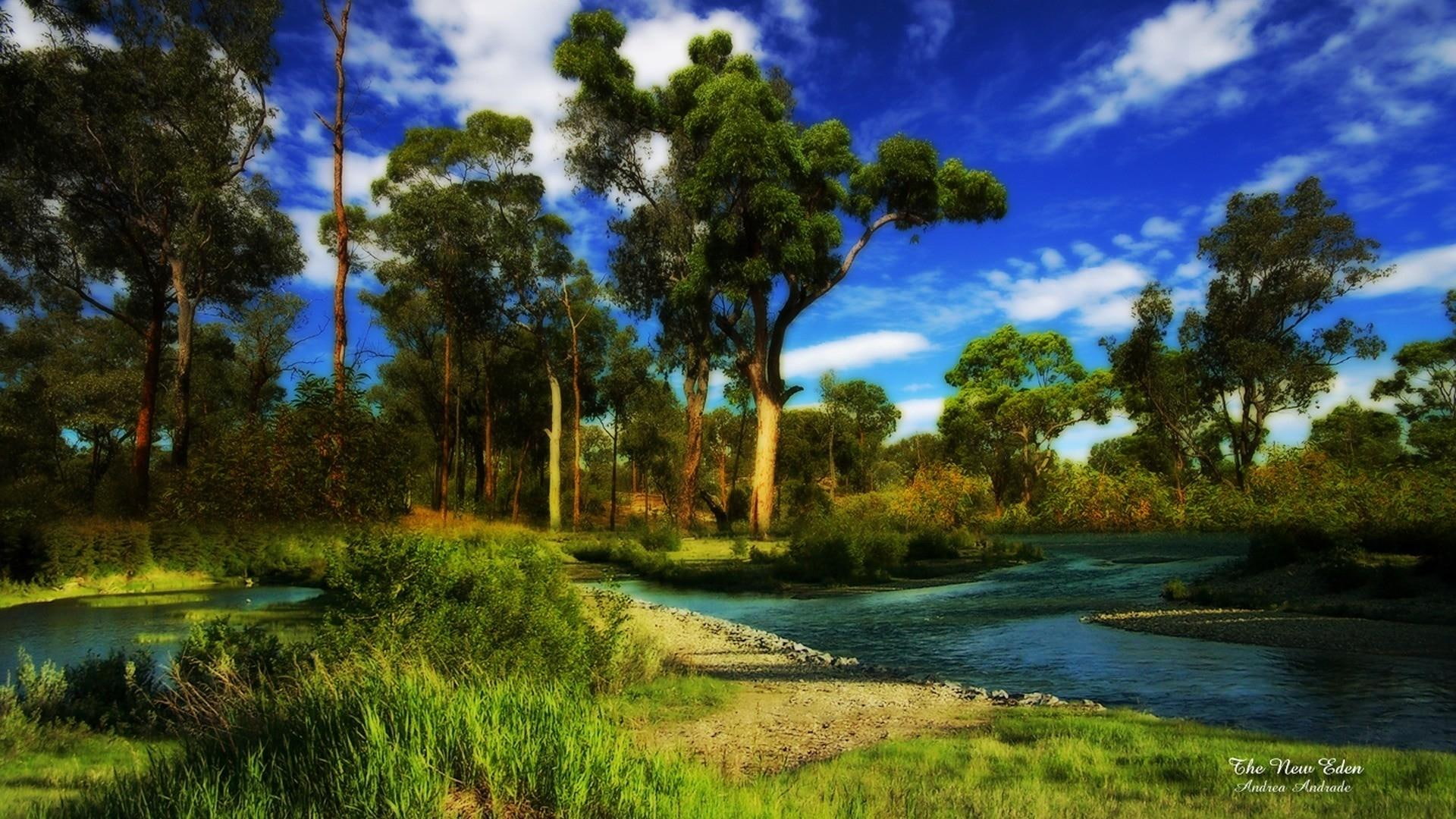 nature, pond, hdr, trees, wonderful, clouds, river, nature and landscapes, corner, grass, 1080P, HD Wallpaper