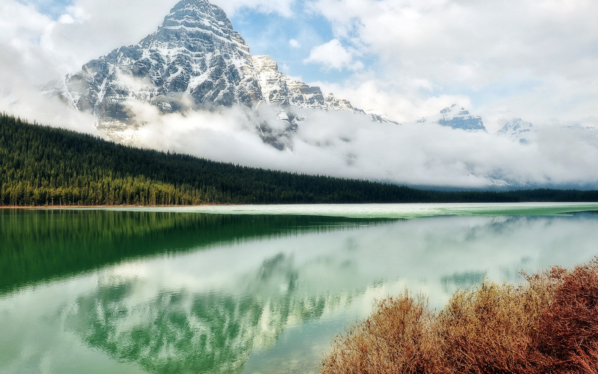 day, 1080P, beauty in nature, tree, non-urban scene, coniferous tree, wonderful nature  1920x1200, outdoors, nature, cloud - sky, water, tranquil scene, HD Wallpaper