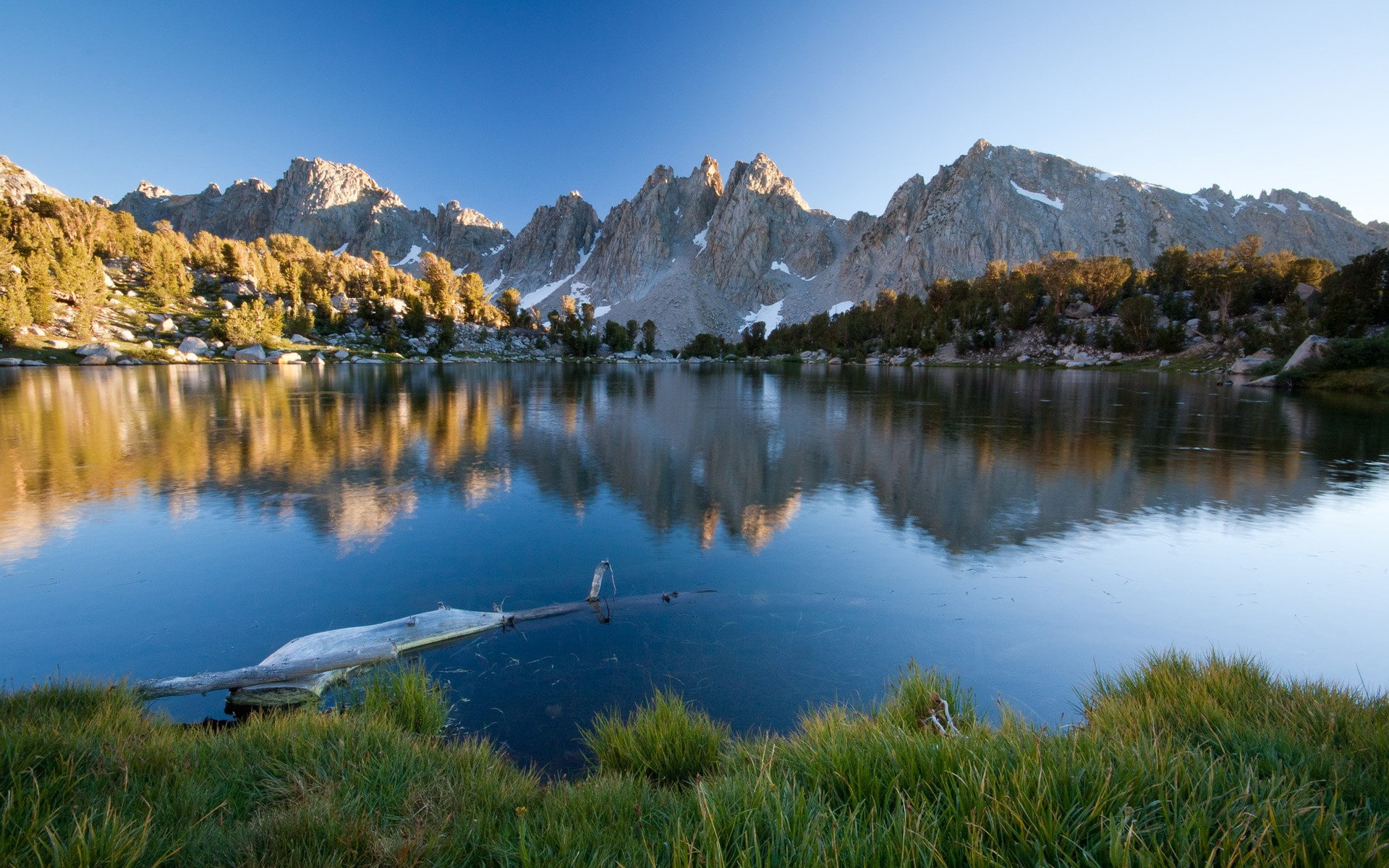 1080P, wonderful nature  1920x1200, HD Wallpaper