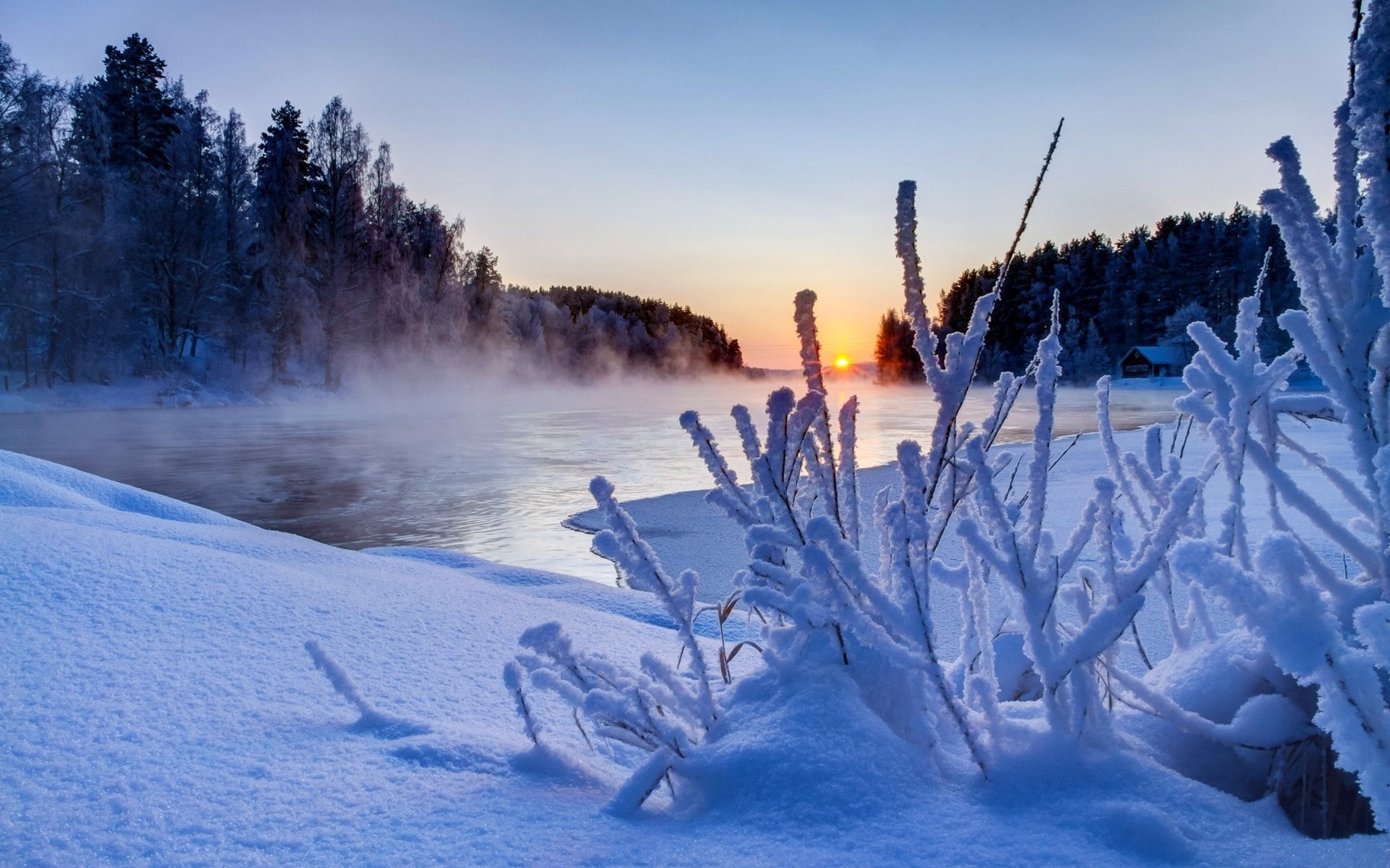1080P, wonderful nature  1920x1200, HD Wallpaper