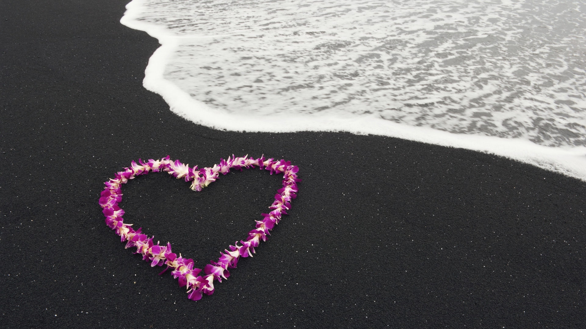 nature, flowers, landscape, heart, romance, 1080P, love, sea, HD Wallpaper