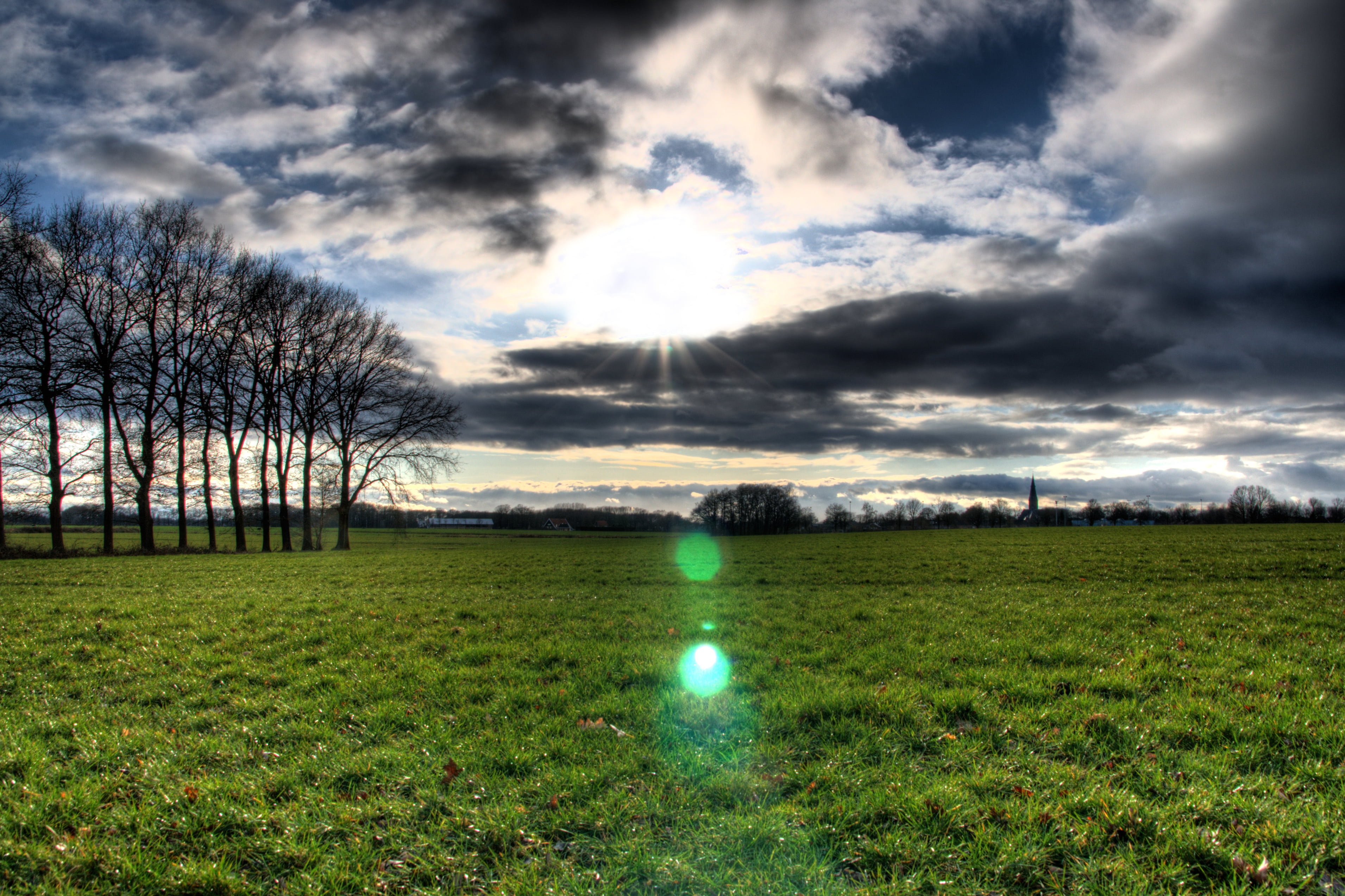 rural Scene, landscape, 2K, cumulus cloud, green grass, tree, sky, cloud - Sky, JOL, sunset, tall, grass field, photography, nature, green, Dutch, agriculture, HD Wallpaper