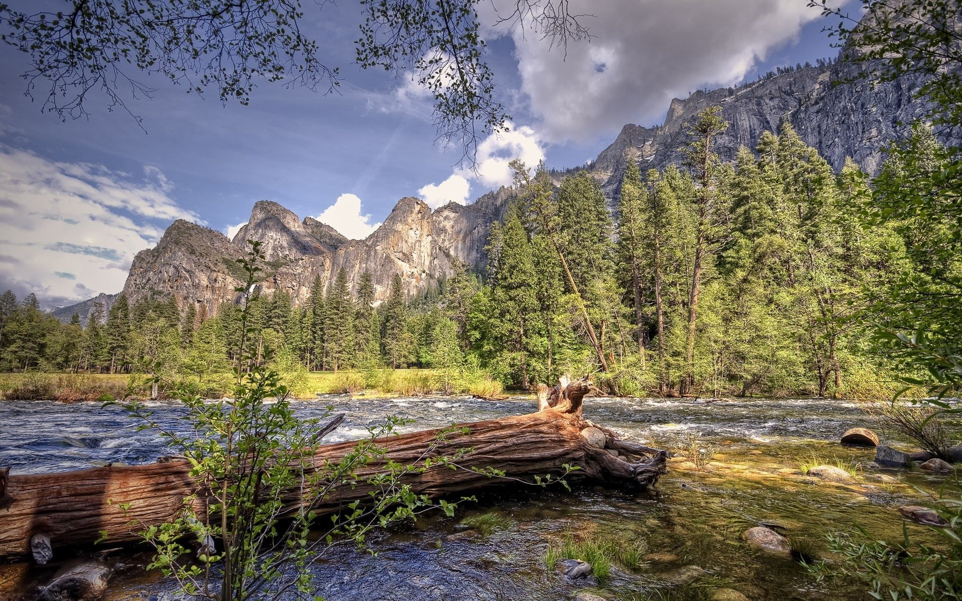1080P, wonderful pictures of nature hd background 1920x1200, HD Wallpaper