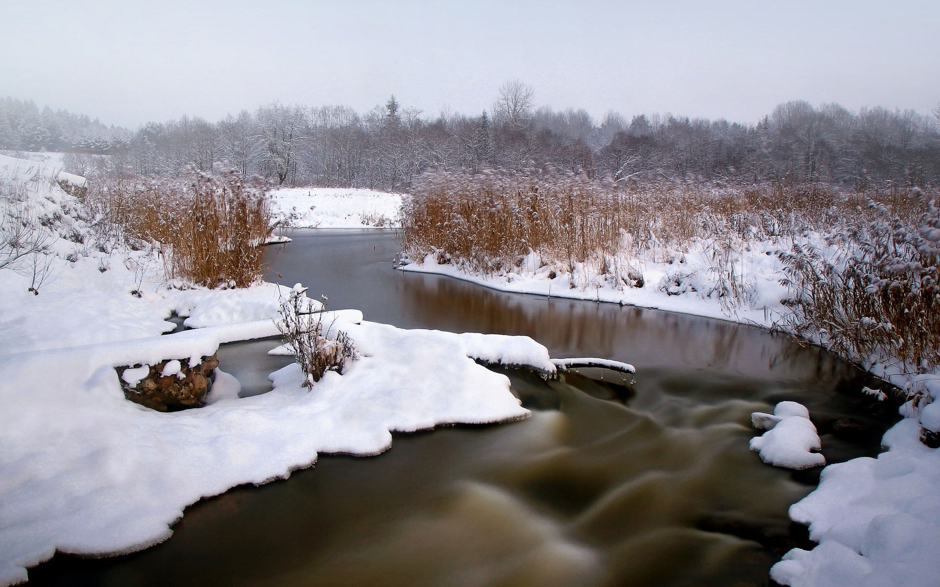1080P, wonderful pictures of nature hd background 1920x1200, HD Wallpaper