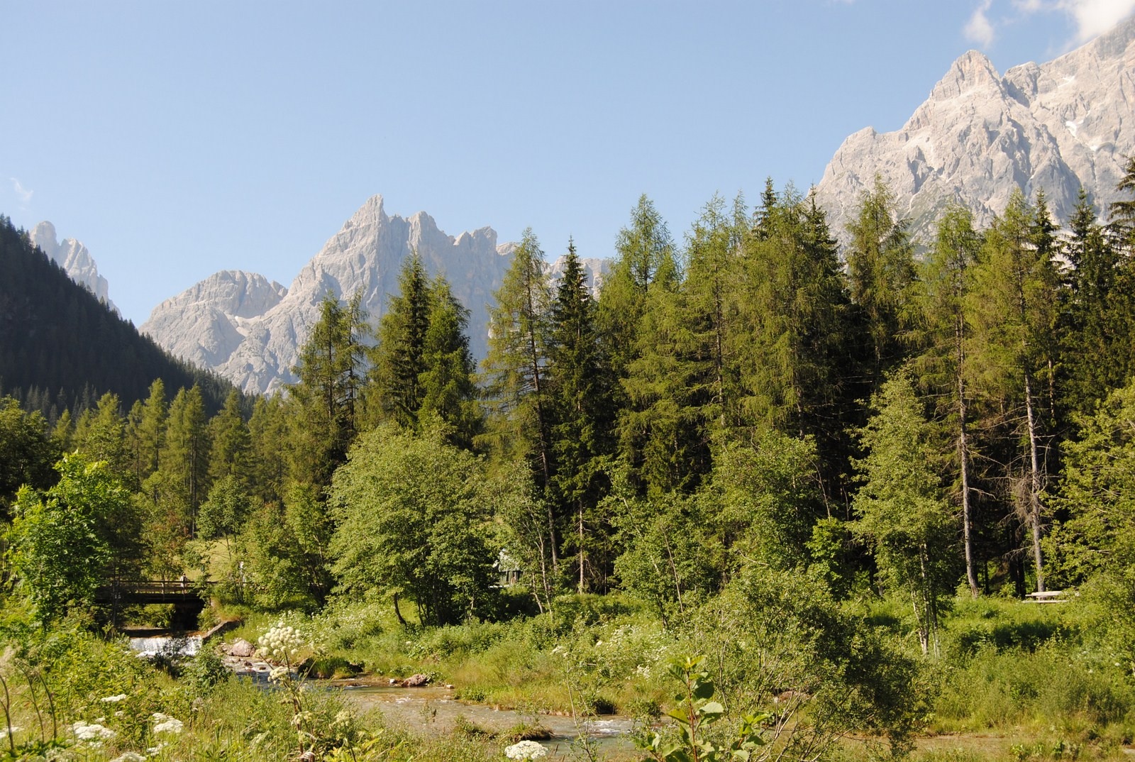 remote, environment, mountain, trees, sky, formation, tranquil scene, outdoors, dolomiti di sesto, landscape, mountain range, hiking, tree, non-urban scene, HD Wallpaper