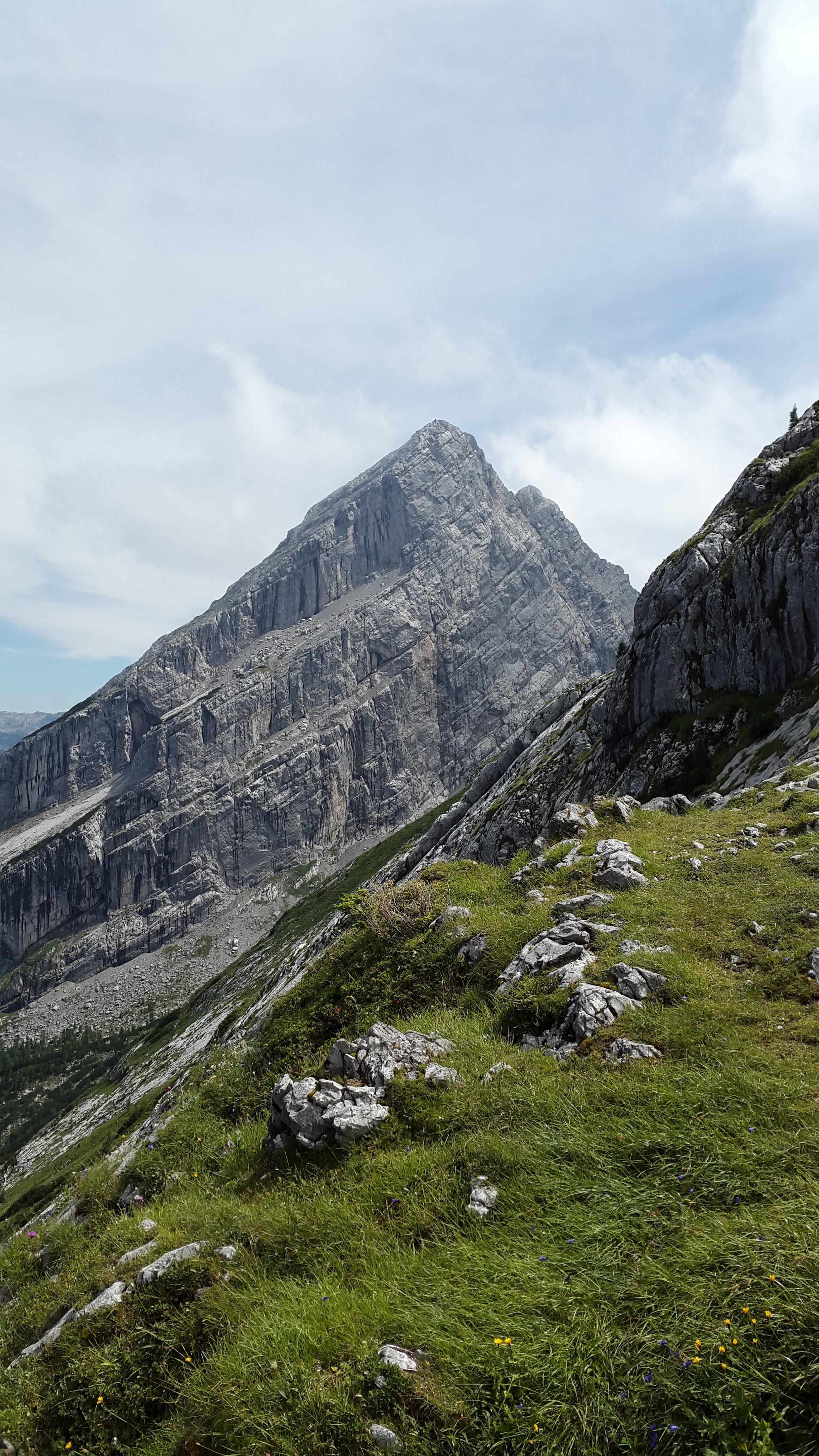 mountains, mountain, environment, grass, beauty in nature, green color, plant, summit, nature, sky, non-urban scene, berchtesgaden national park, mountain peak, Phone HD Wallpaper