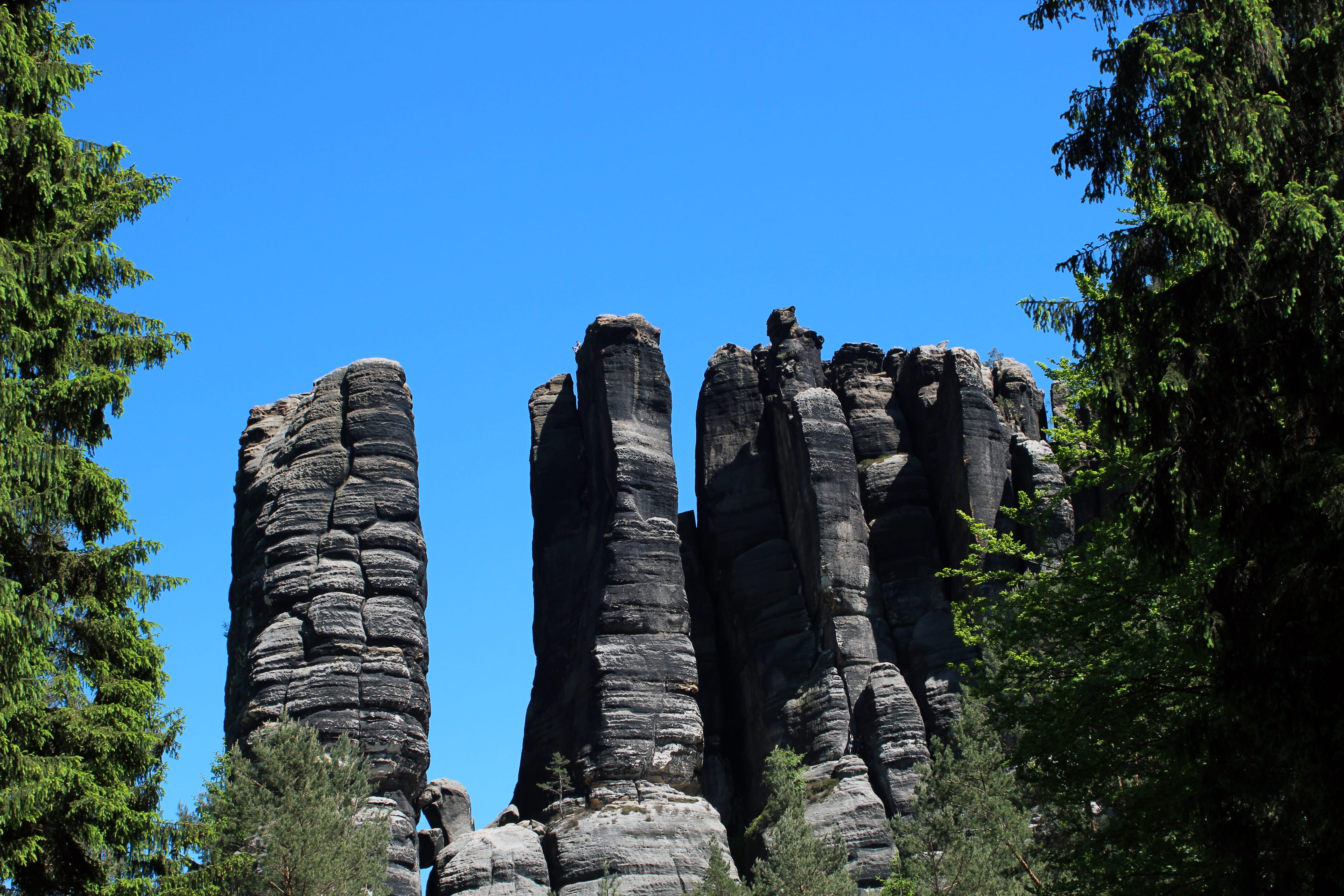 sky, High, tree, the past, Monkey, day, travel, trees, clear sky, outdoors, rocks, ancient civilization, monkey stones, Rock, nature, low angle view, travel destinations, HD Wallpaper