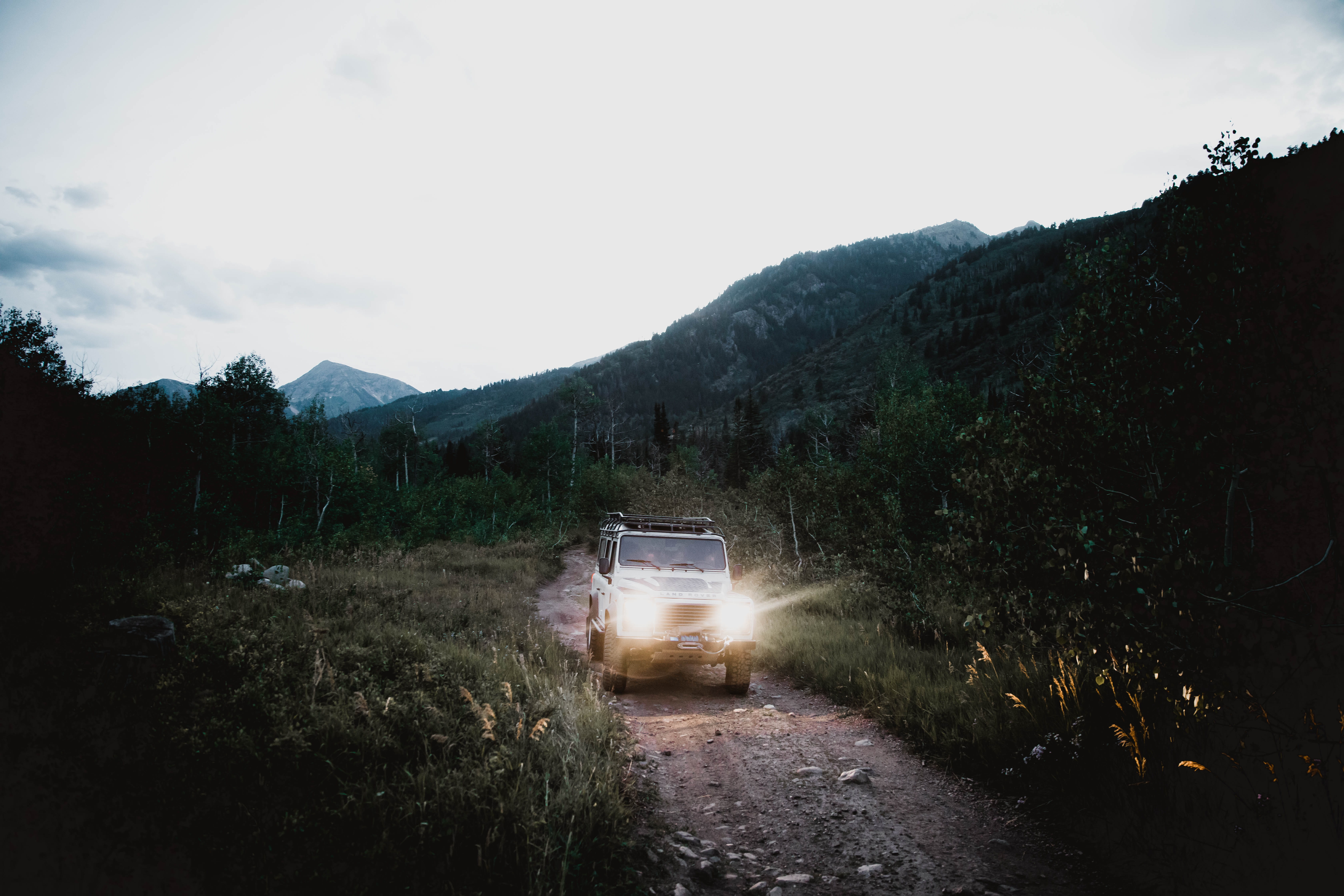 tree, forest light, land vehicle, night time, forest floor, defender, plant, road, nature, light, landscape, car lights, forest path, automobile, sky, vehicle, HD Wallpaper
