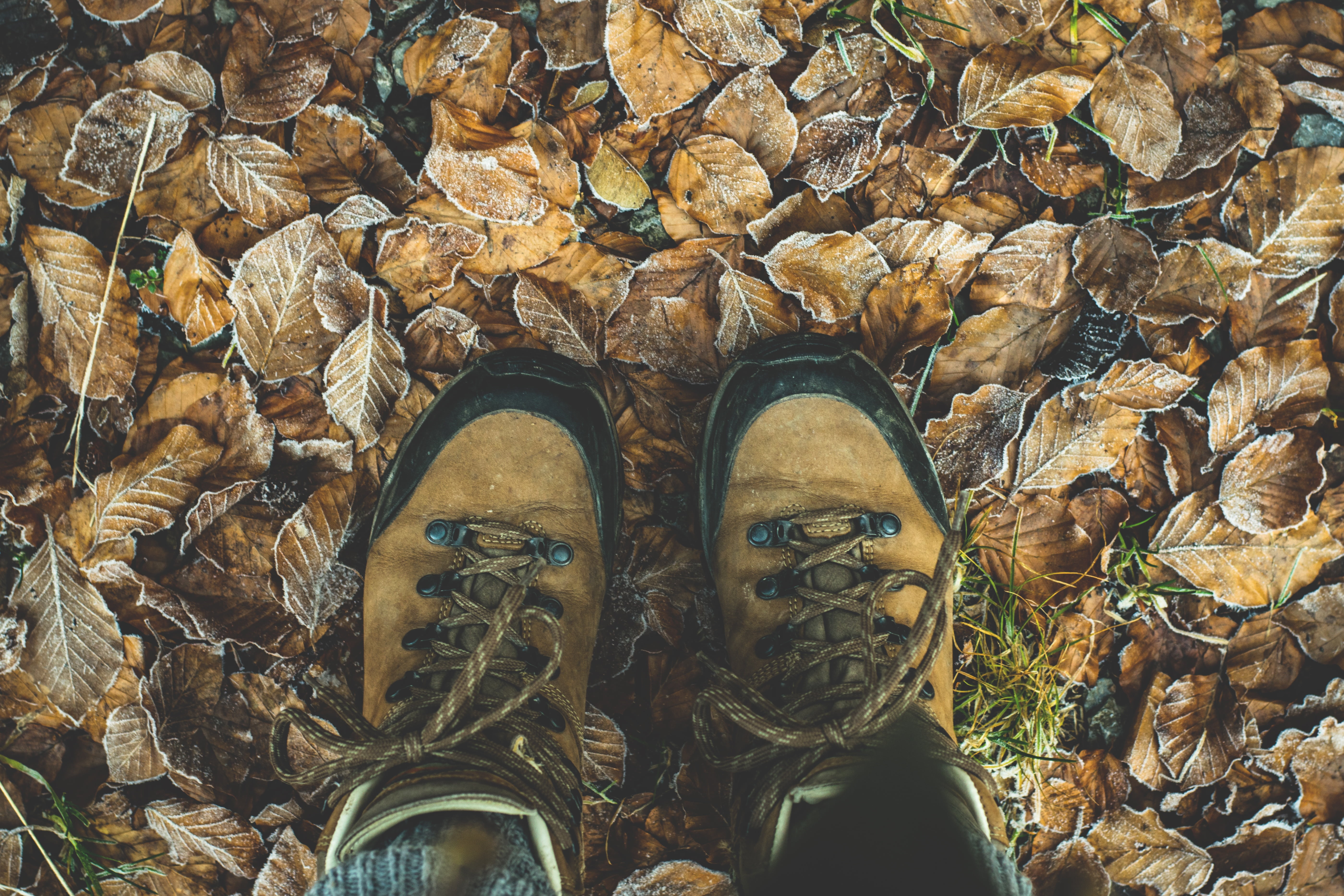 low section, human leg, wearing, unrecognizable person, change, leaves, person, close-up, shoes, solid, shoe, boots, feet, mountaineering shoes, mountain hiking, HD Wallpaper