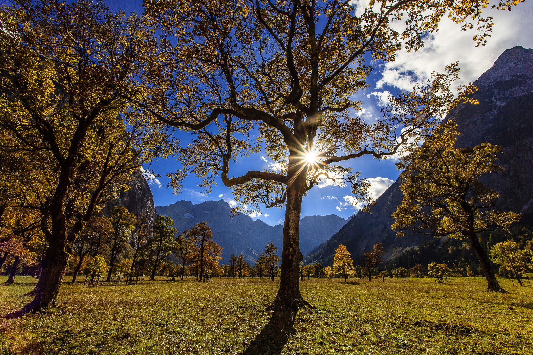 valley, Austria, the Karwendel mountains, Maple floor, Karwendel, 1080P, trees, HD Wallpaper