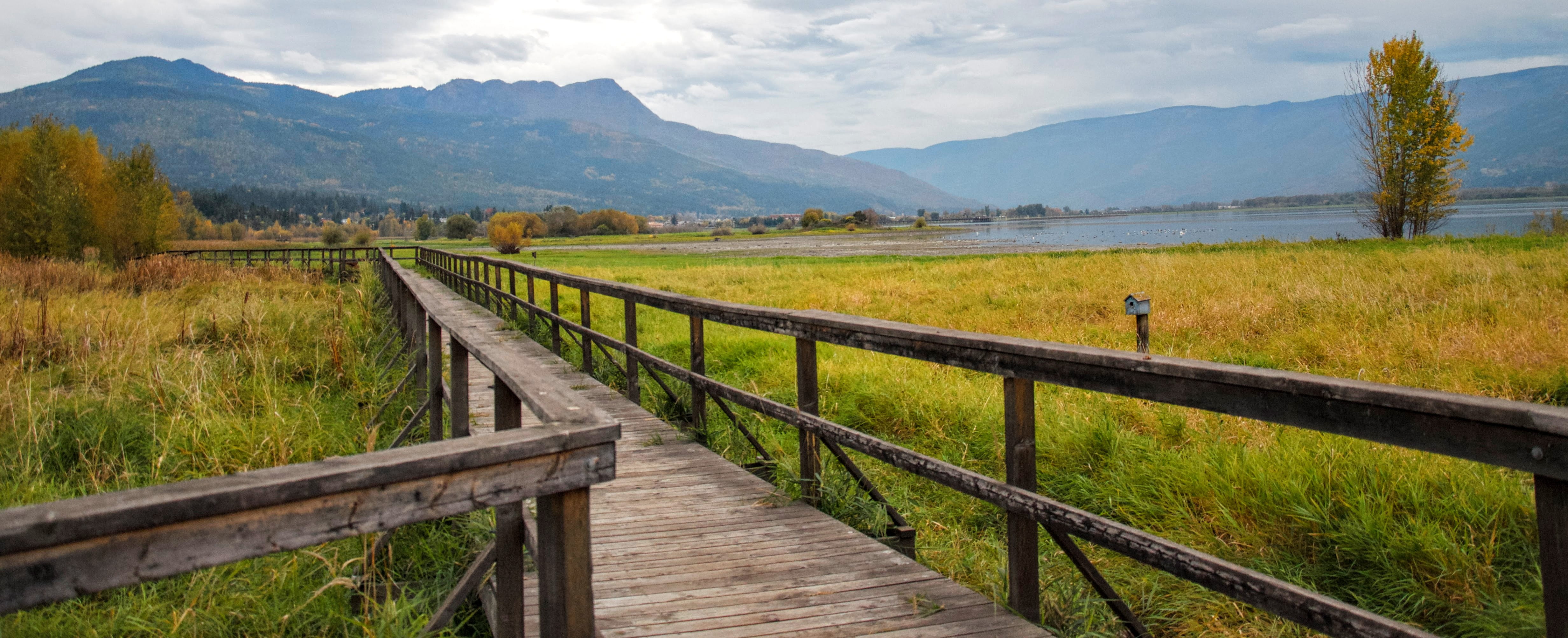 travel, mountain, wood - material, scenic, mountains, beauty in nature, water, river, sky, summer, outdoors, lake, daylight, footpath, pathway, valley, HD Wallpaper