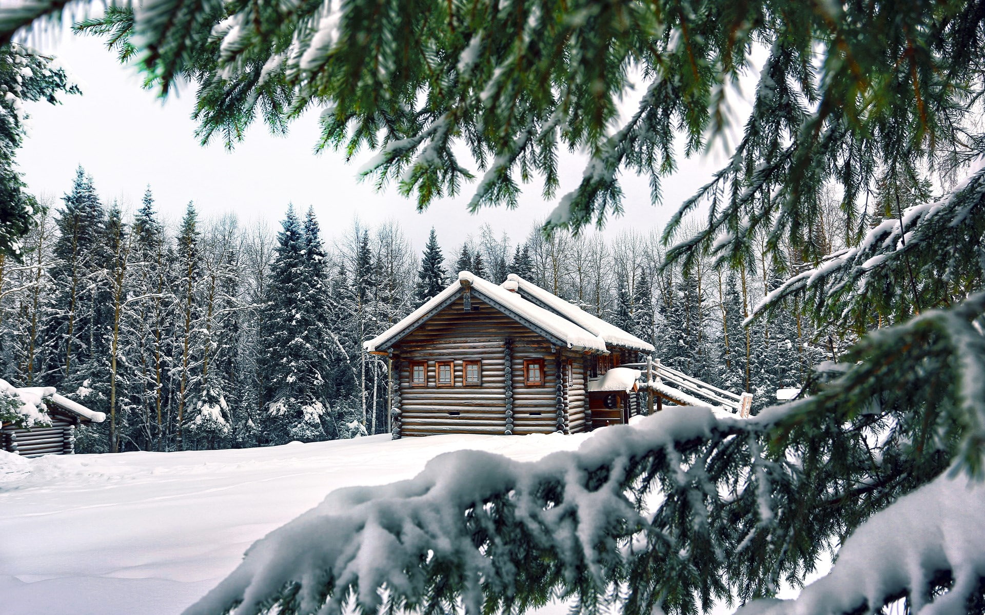 pine tree, snowing, scenics - nature, outdoors, frozen, cold temperature, building, built structure, 1080P, nature, background nature image 1920x1200, HD Wallpaper