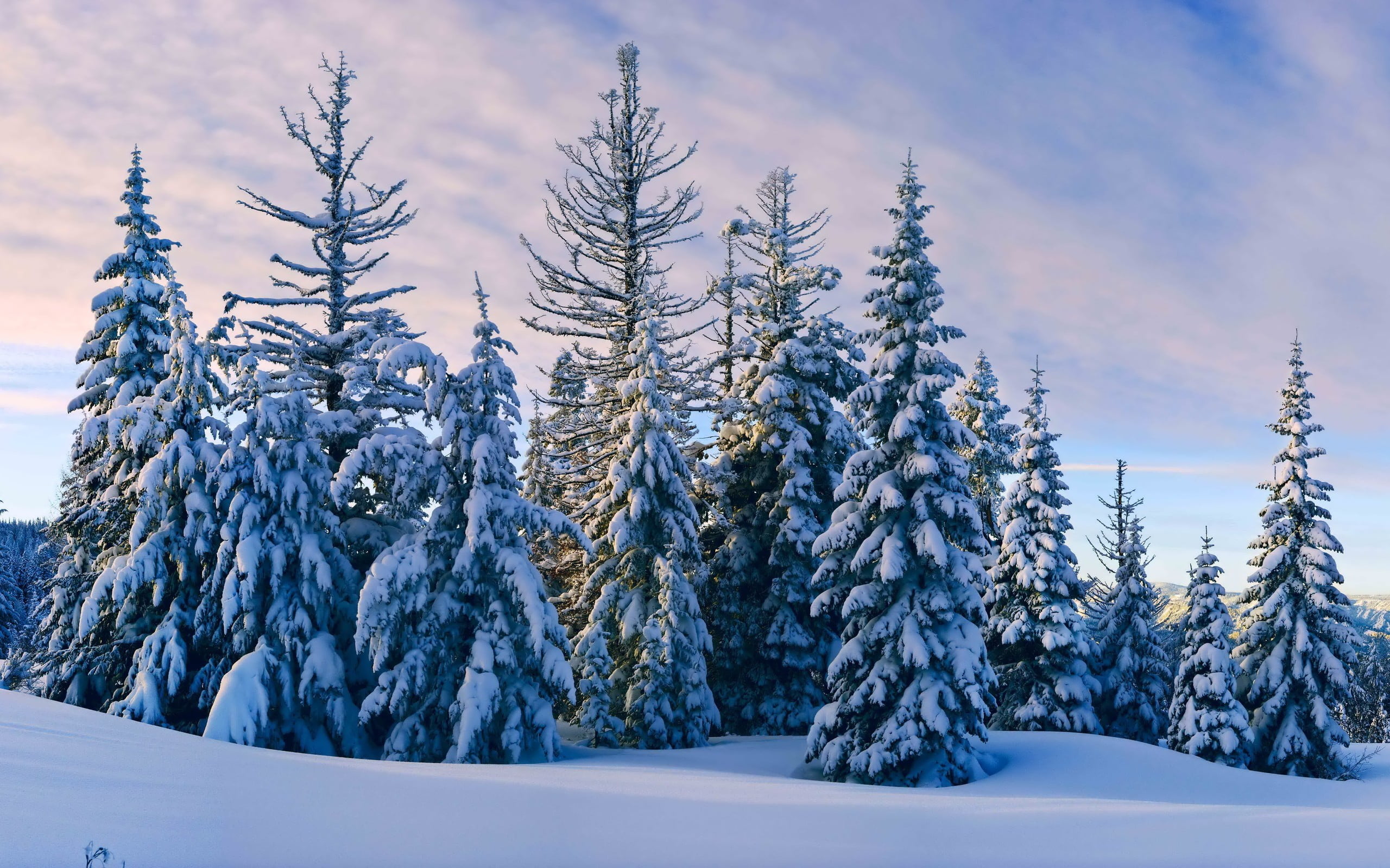 environment, frozen, cloud - sky, beauty in nature, land, landscape, growth, green, trees, day, sky, snowcapped mountain, tranquility, cold temperature, HD Wallpaper