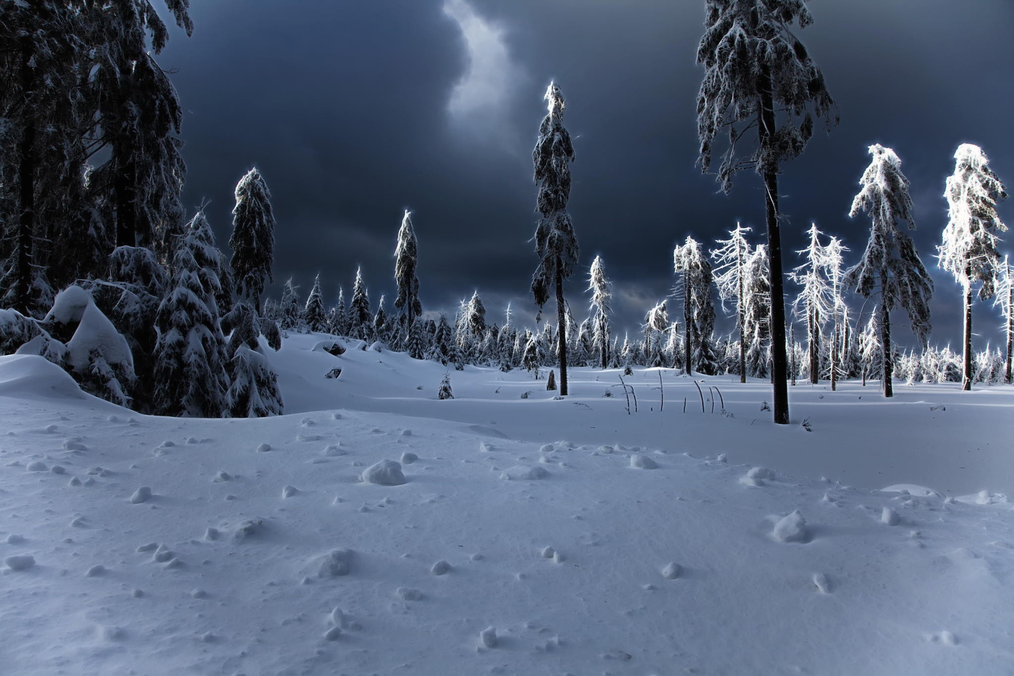 no people, powder snow, winter, non-urban scene, land, sky, night, snowcapped mountain, environment, tranquility, white color, forest, 1080P, scenics - nature, HD Wallpaper