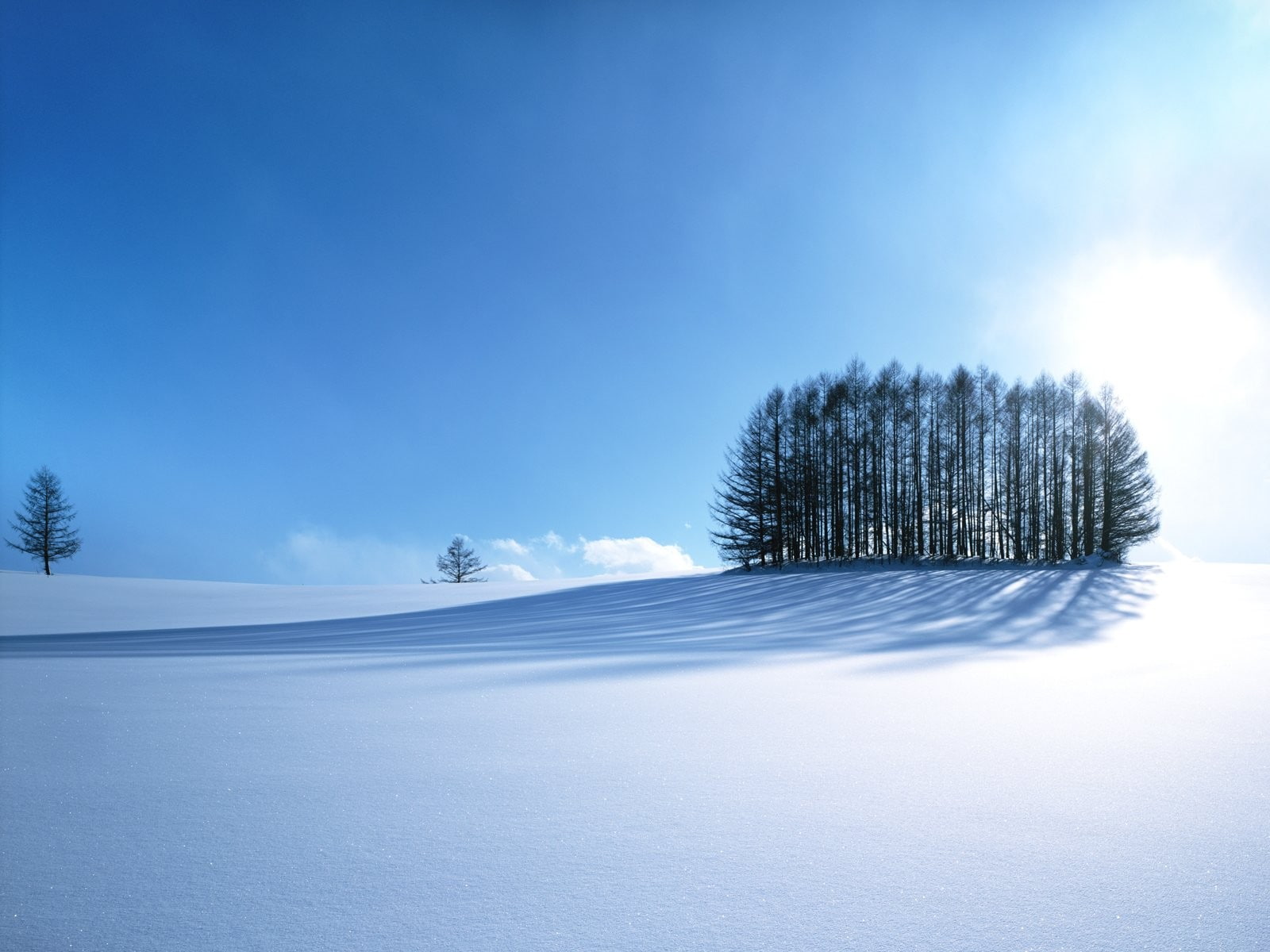 tranquil scene, day, 720P, copy space, Japan, scenics - nature, no people, white, blue, winter, landscape, nature, fir tree, powder snow, cold temperature, HD Wallpaper