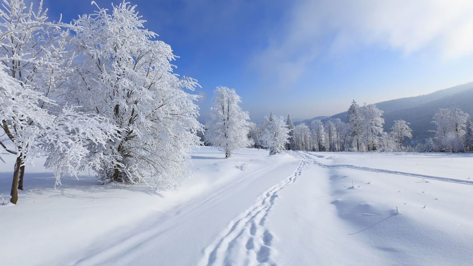 day, cloud - sky, scenics - nature, covering, snow, tranquility, trees, cold temperature, non-urban scene, tranquil scene, textile, white, sky, landscape, HD Wallpaper