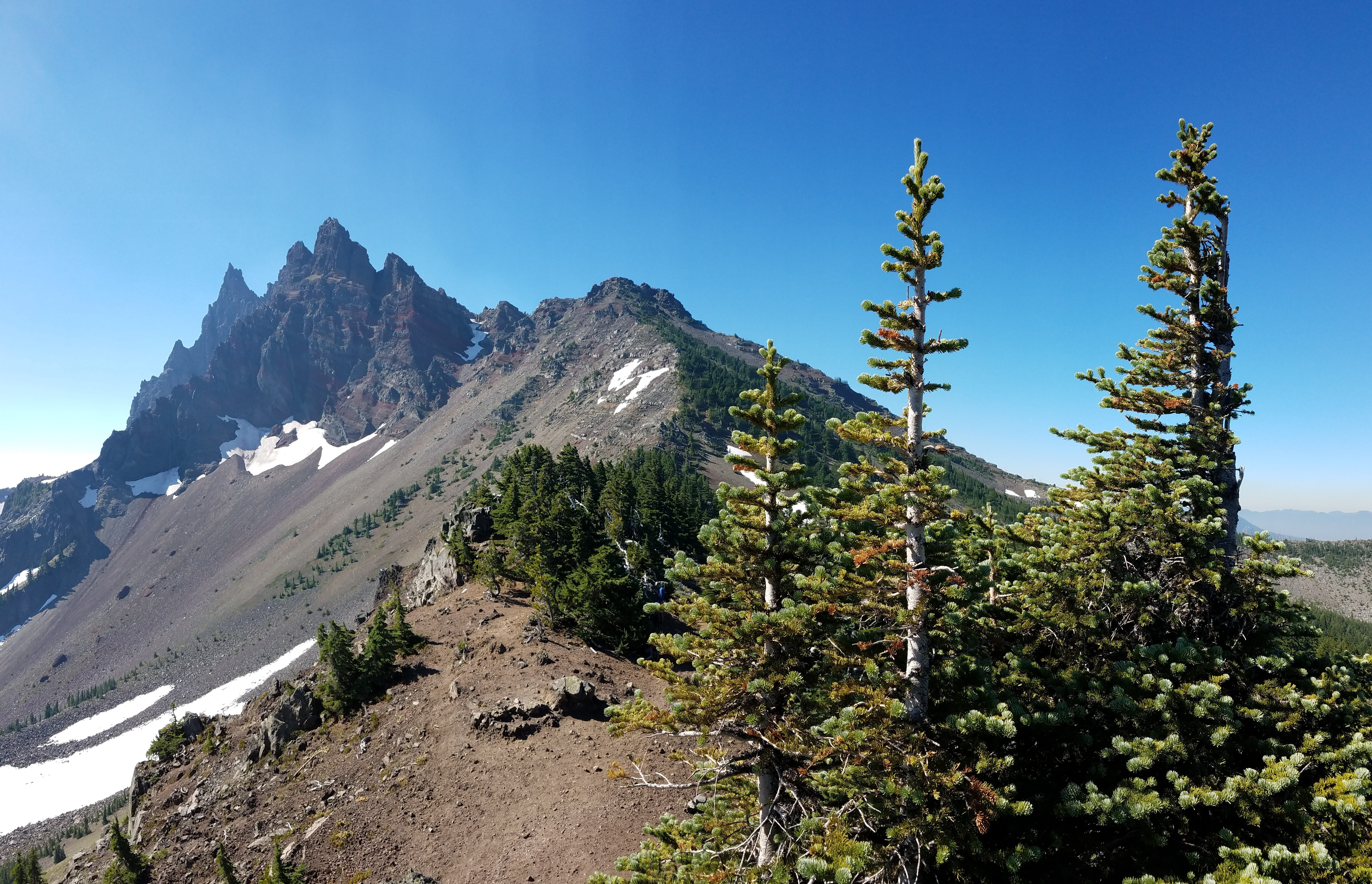 growth, sky, sunlight, panoramic, outdoors, beauty in nature, blue, sight, nature, valley, no people, scenic, formation, clear sky, pct, 5K, tree, land, HD Wallpaper