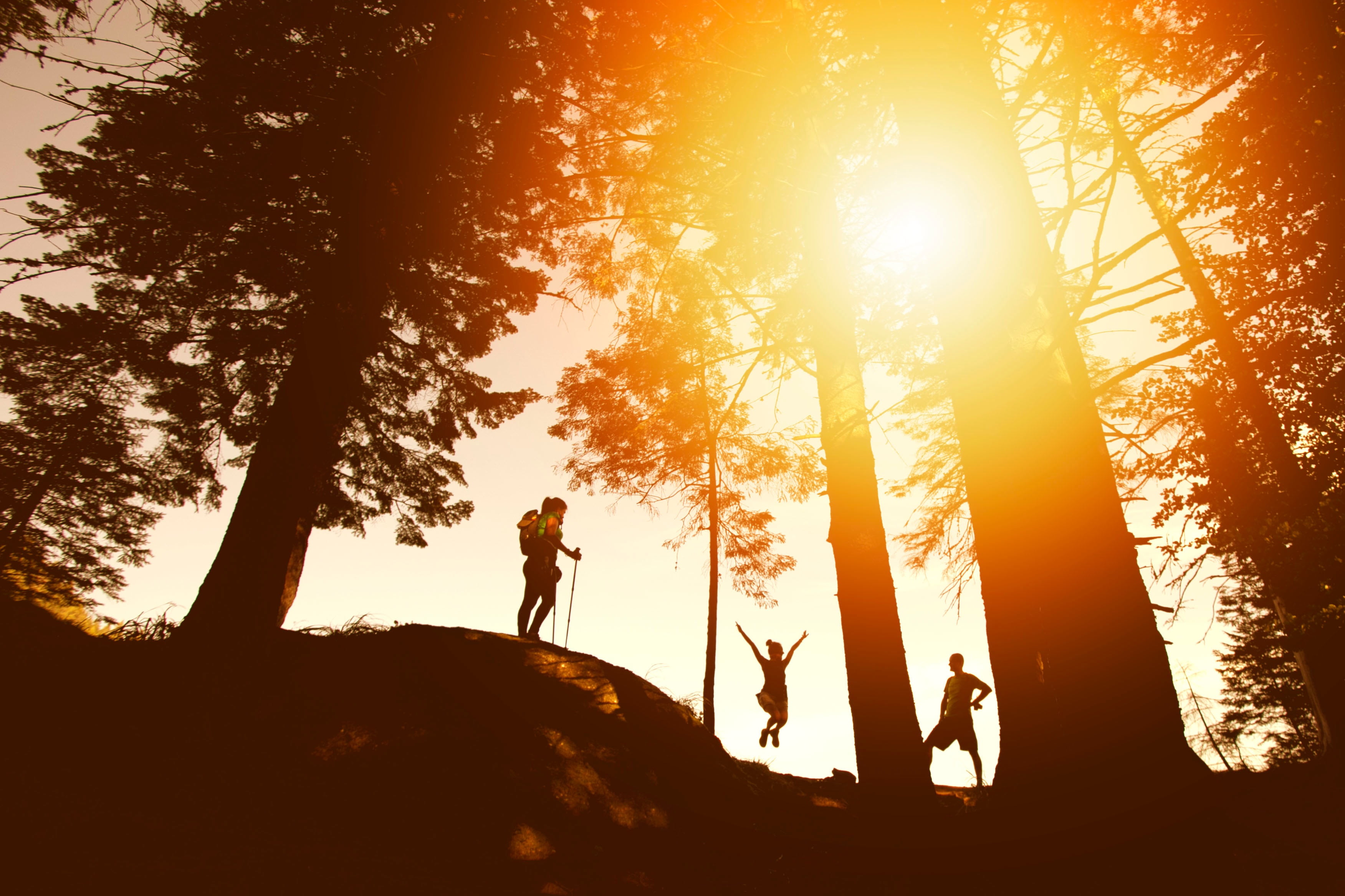 girls, person, men, sky, mid adult men, togetherness, sun, people, sunrise, mid adult, silhouette, outdoors, plants, tree, lens flare, leisure activity, HD Wallpaper