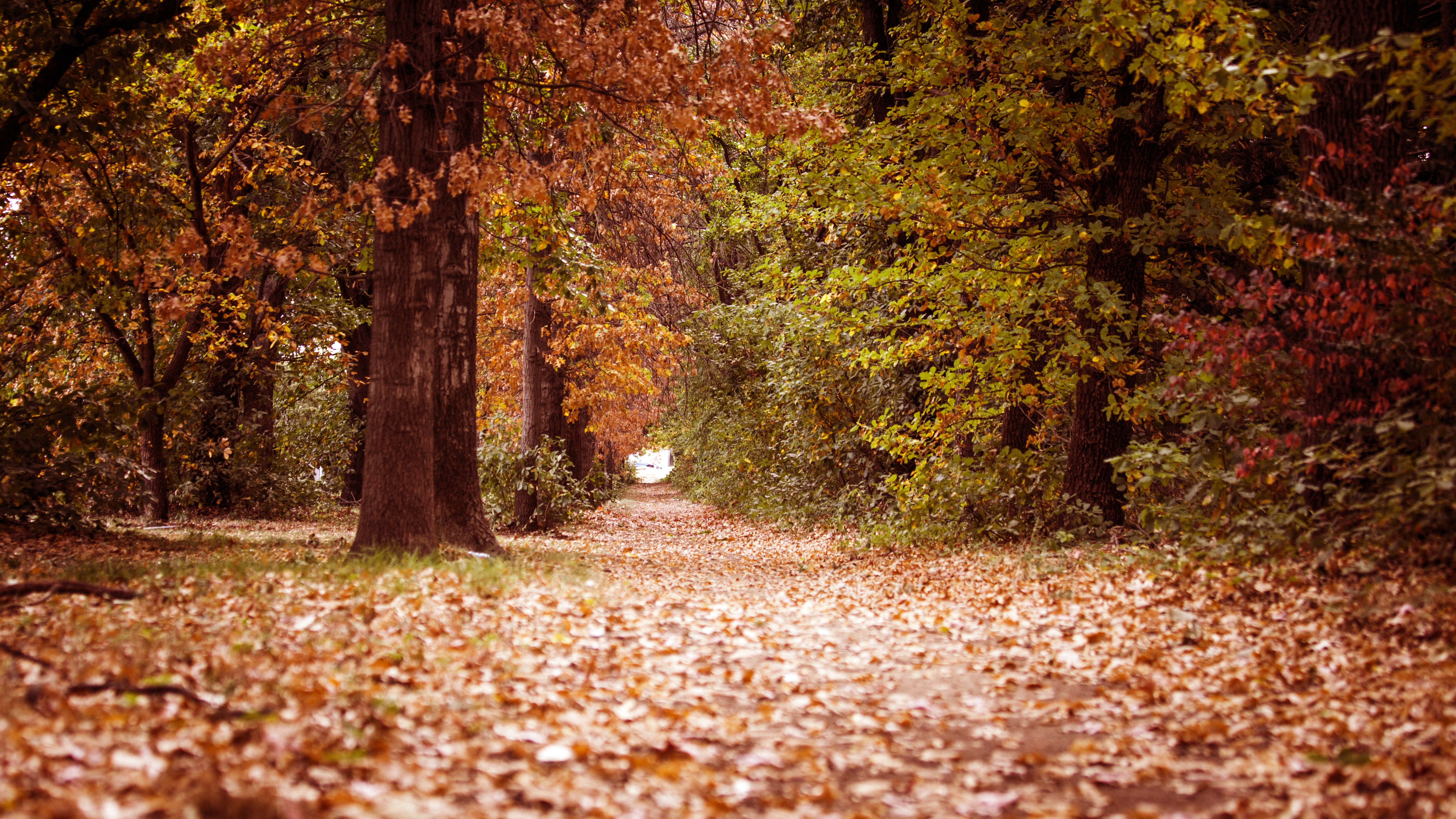 nature full size desktop 7680x4320, 8K, HD Wallpaper
