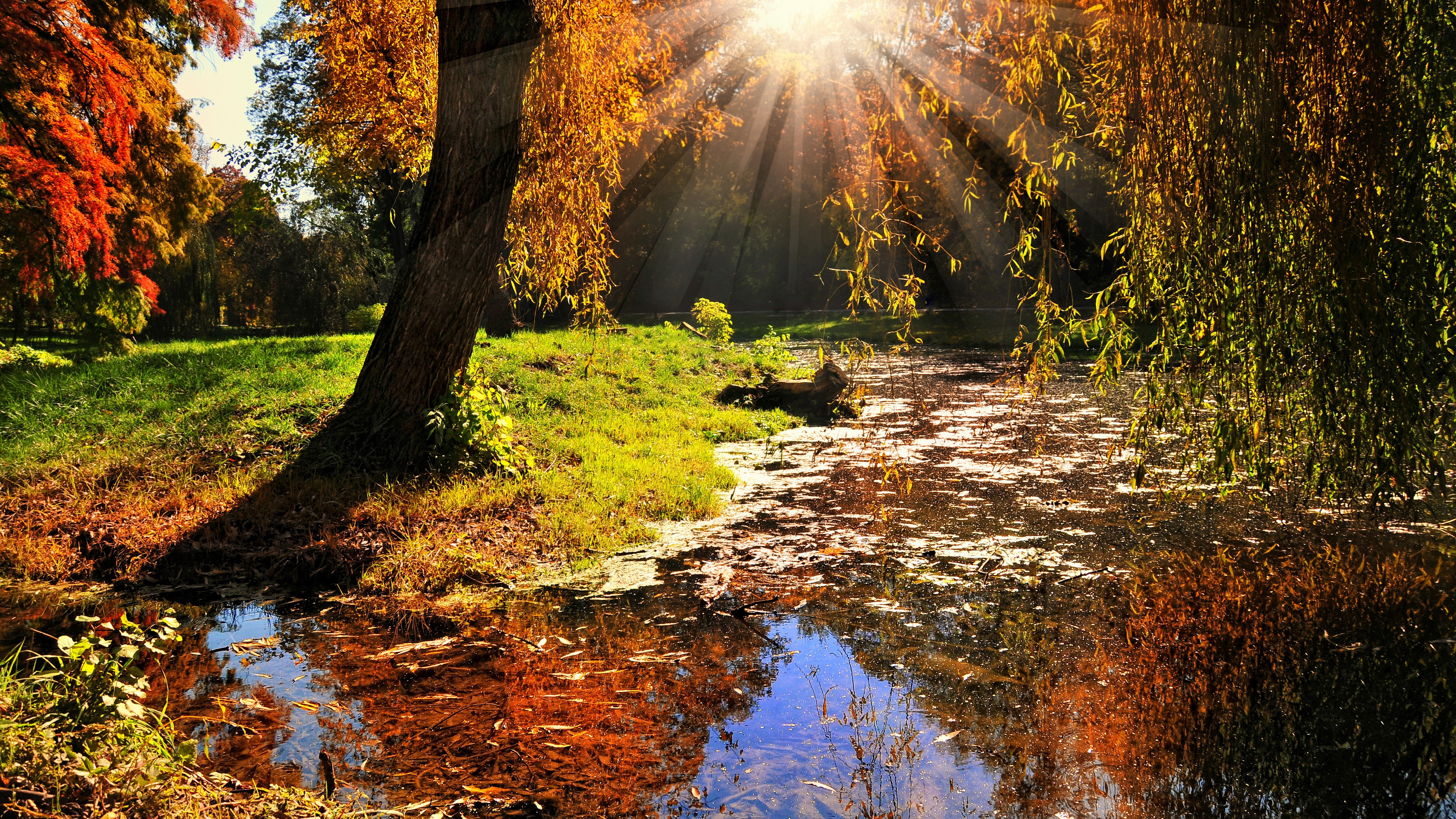 nature full size desktop 7680x4320, 8K, HD Wallpaper