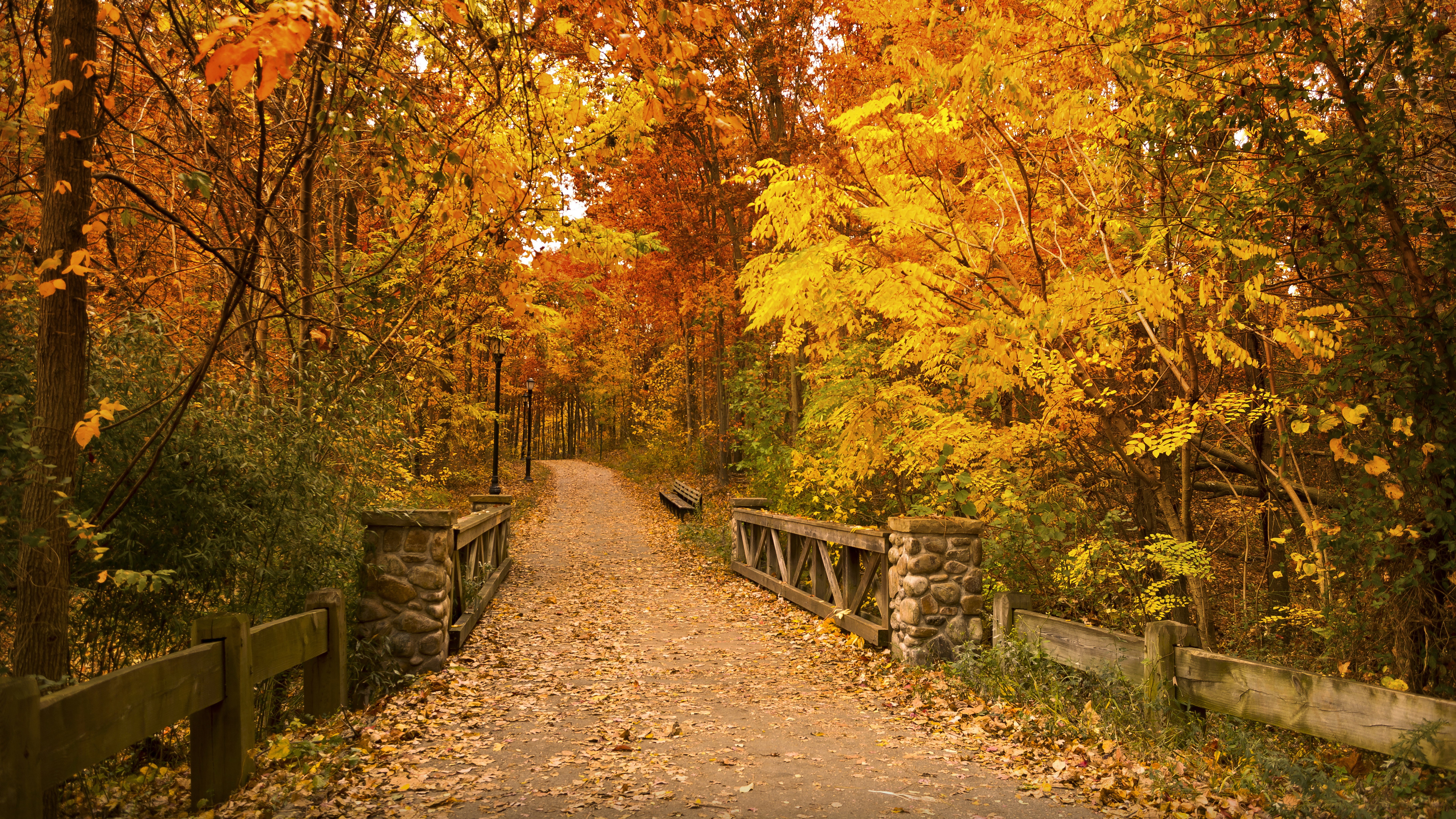 nature full size desktop 7680x4320, 8K, HD Wallpaper