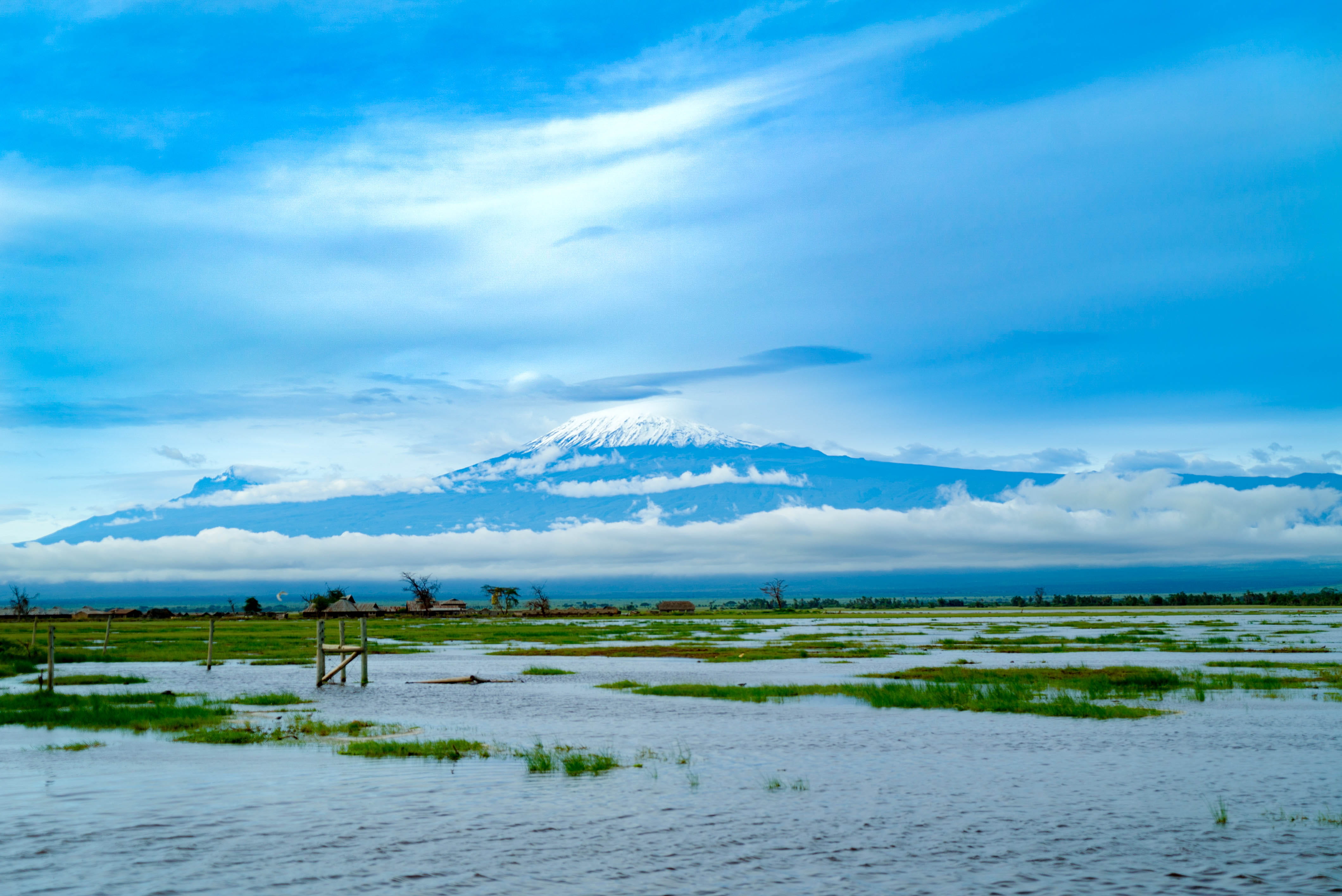 scenics - nature, no people, mt kilimanjaro, water, tranquility, beauty in nature, lake, environment, africa, trees, cloud - sky, amboseli national park, HD Wallpaper