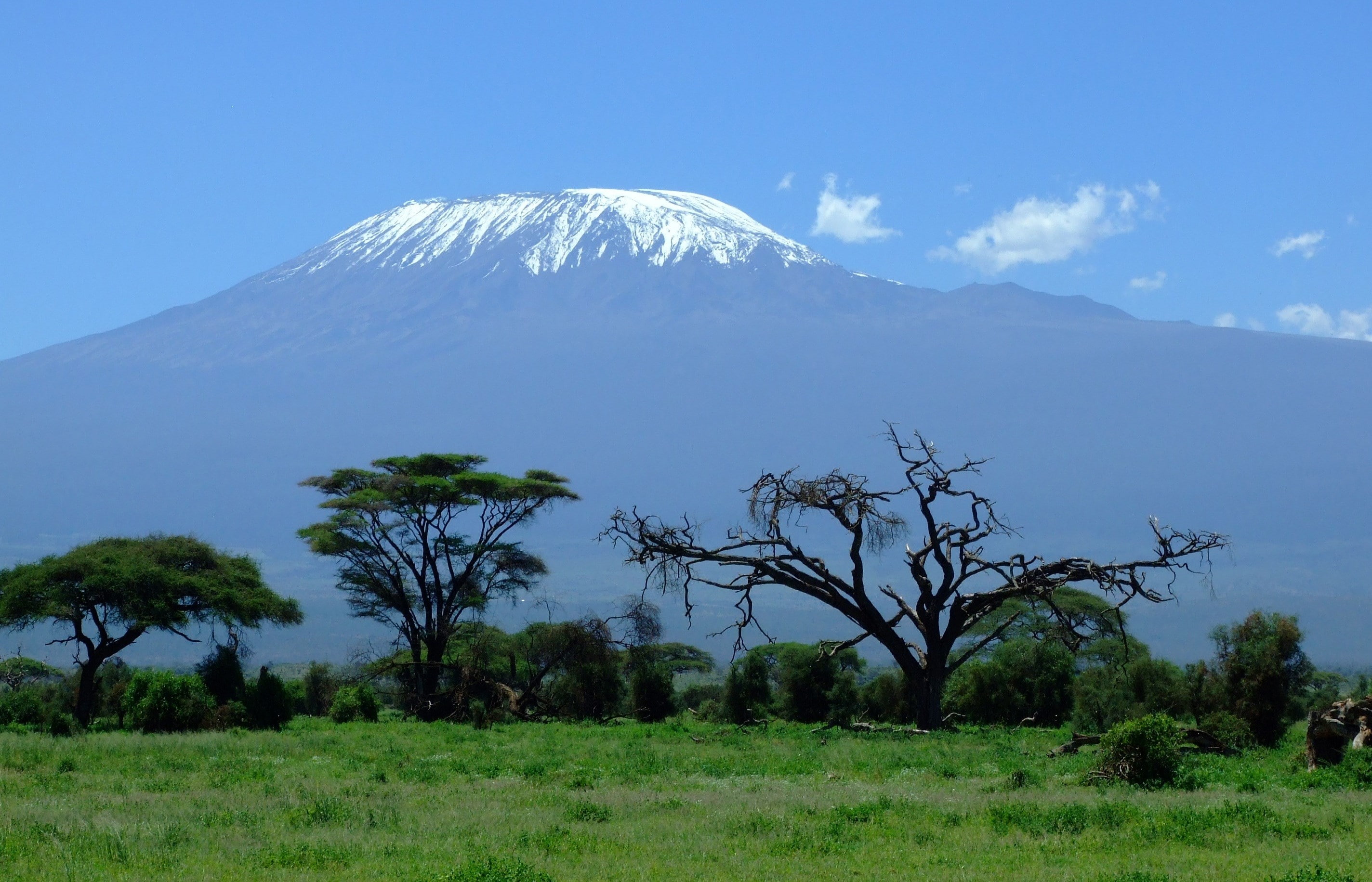 non-urban scene, no people, tranquility, outdoors, tree, landscape, mountain, 2K, mount kilimanjaro, travel destinations, volcano, plant, environment, HD Wallpaper