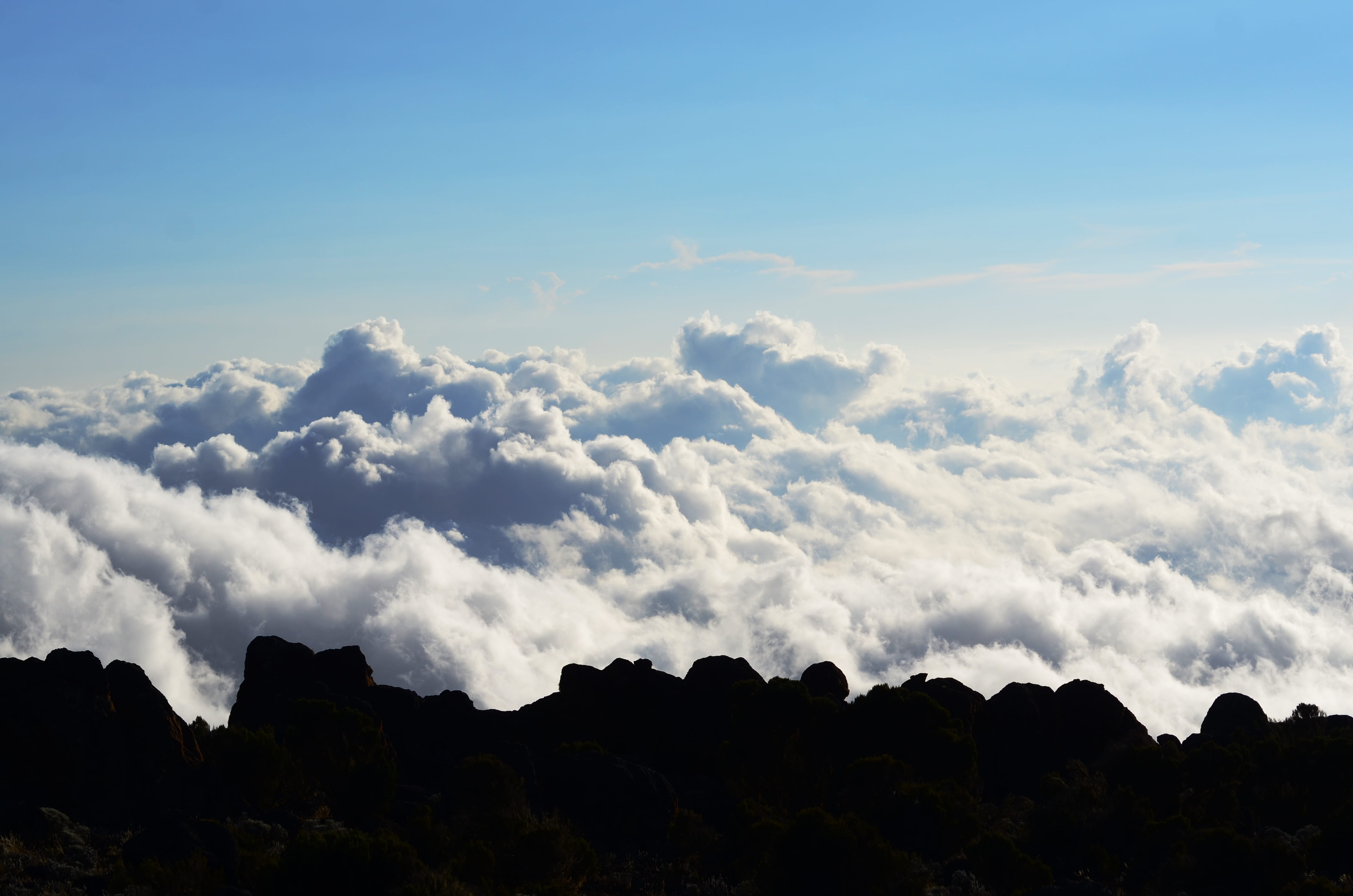 low angle view, beautiful, outdoors, kilimanjaro summit, landscape, 4K, day, roof of africa, idyllic, surreal, nature, no people, plant, sky, kilimanjaro, HD Wallpaper