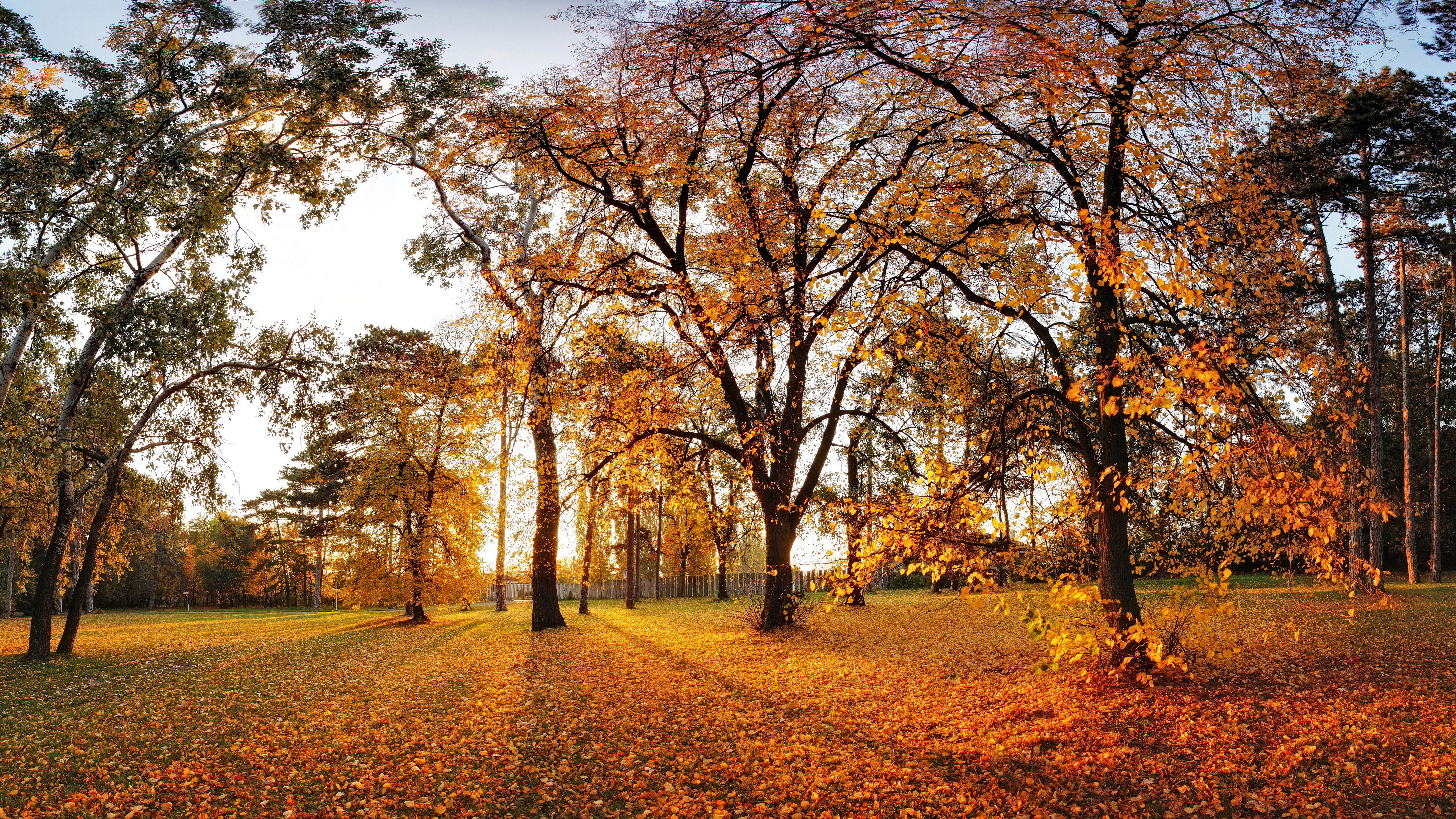nature full size desktop 7680x4320, 8K, HD Wallpaper