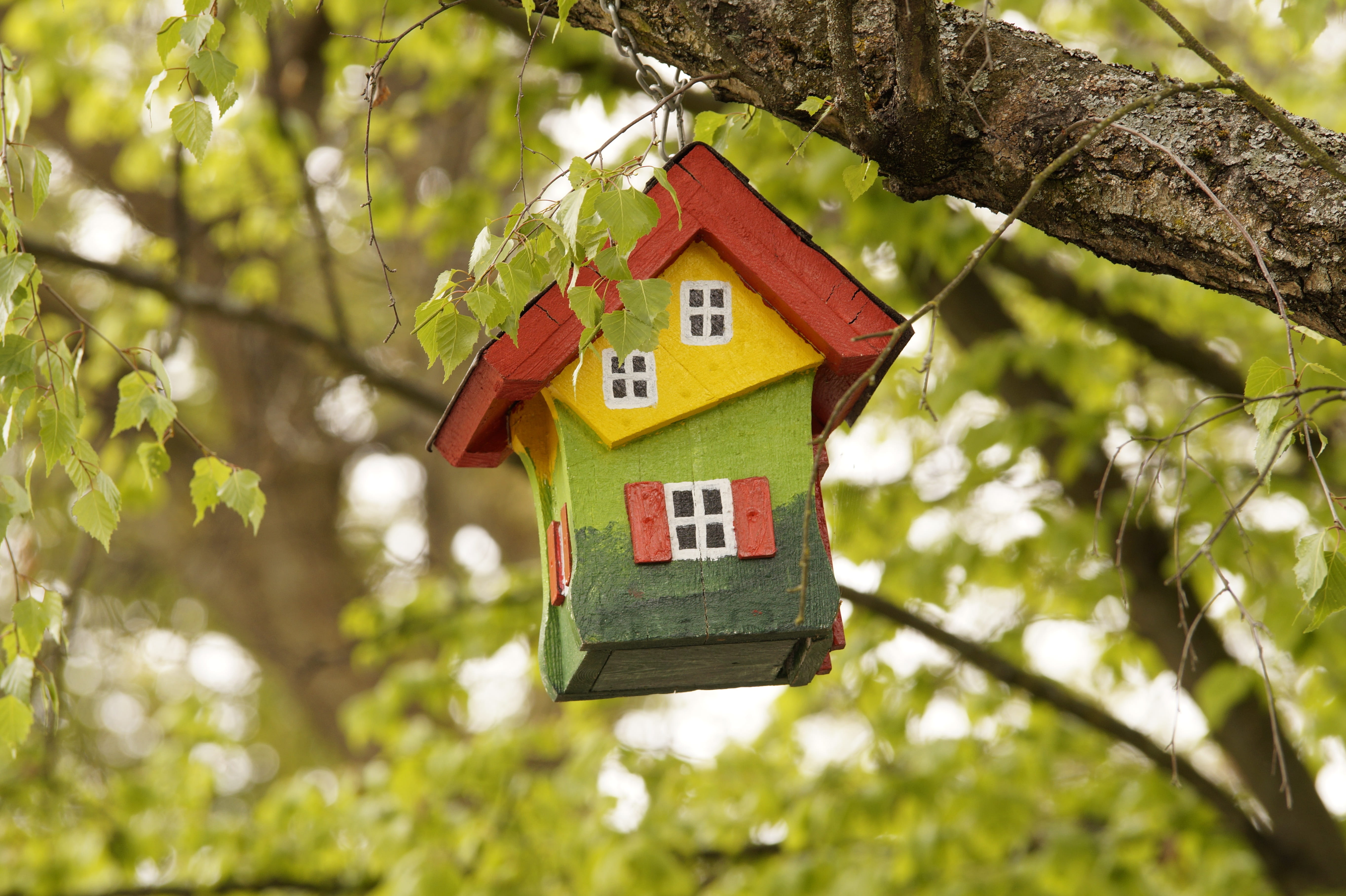 plant, red, birdhouse, house, building, tree, spring, architecture, wood - material, tree trunk, finance, outdoors, growth, wood, no people, building exterior, HD Wallpaper