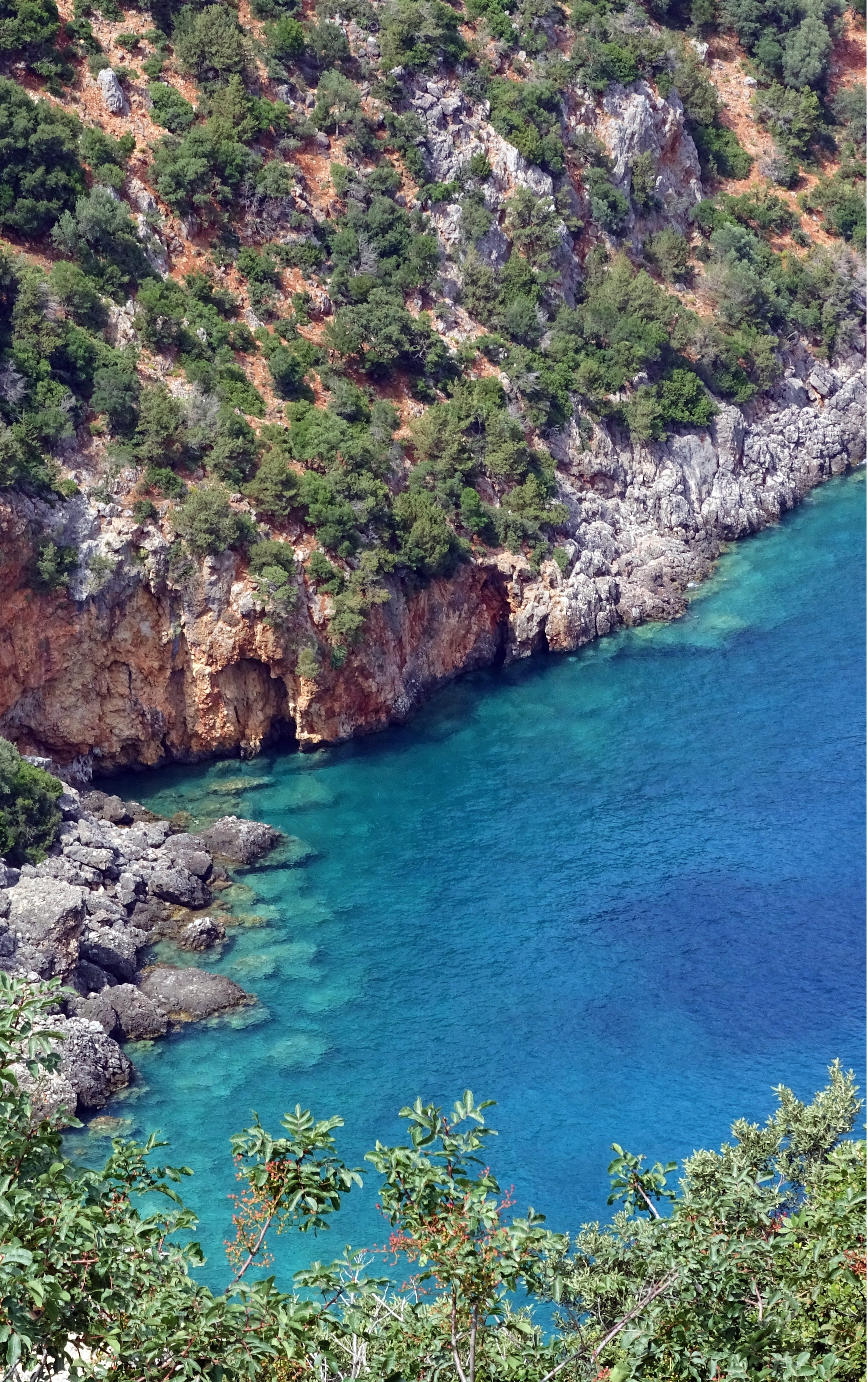 tree, greece, plant, tranquil scene, rock, kefalonia, 4K, nature, turquoise colored, scenics - nature, cephalonia, no people, blue, high angle view, sea, Phone HD Wallpaper