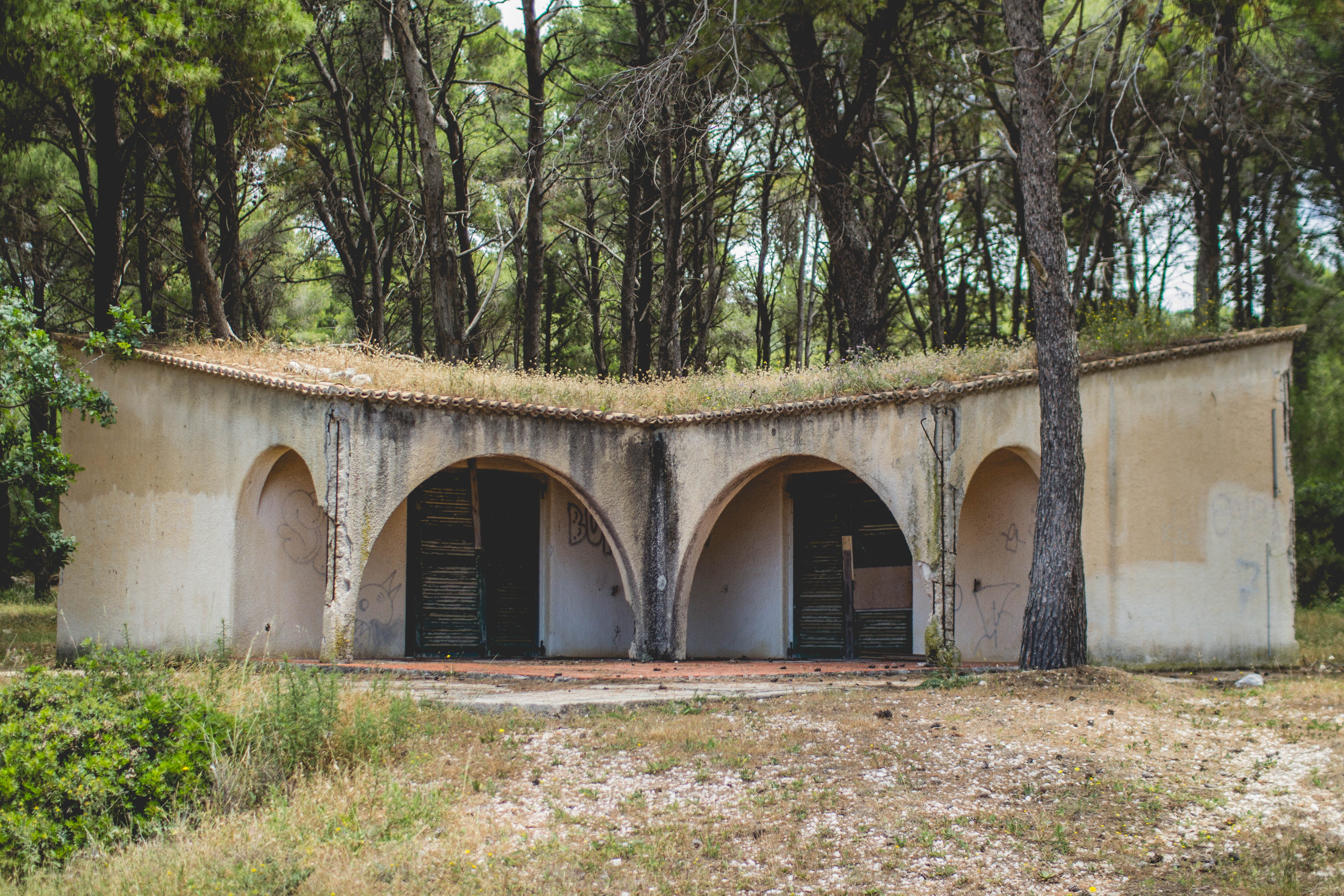 bridge, arch, old, plant, argostoli, building, nature, tree, symmetry, land, forest, green color, growth, no people, kefalonia, connection, day, history, HD Wallpaper
