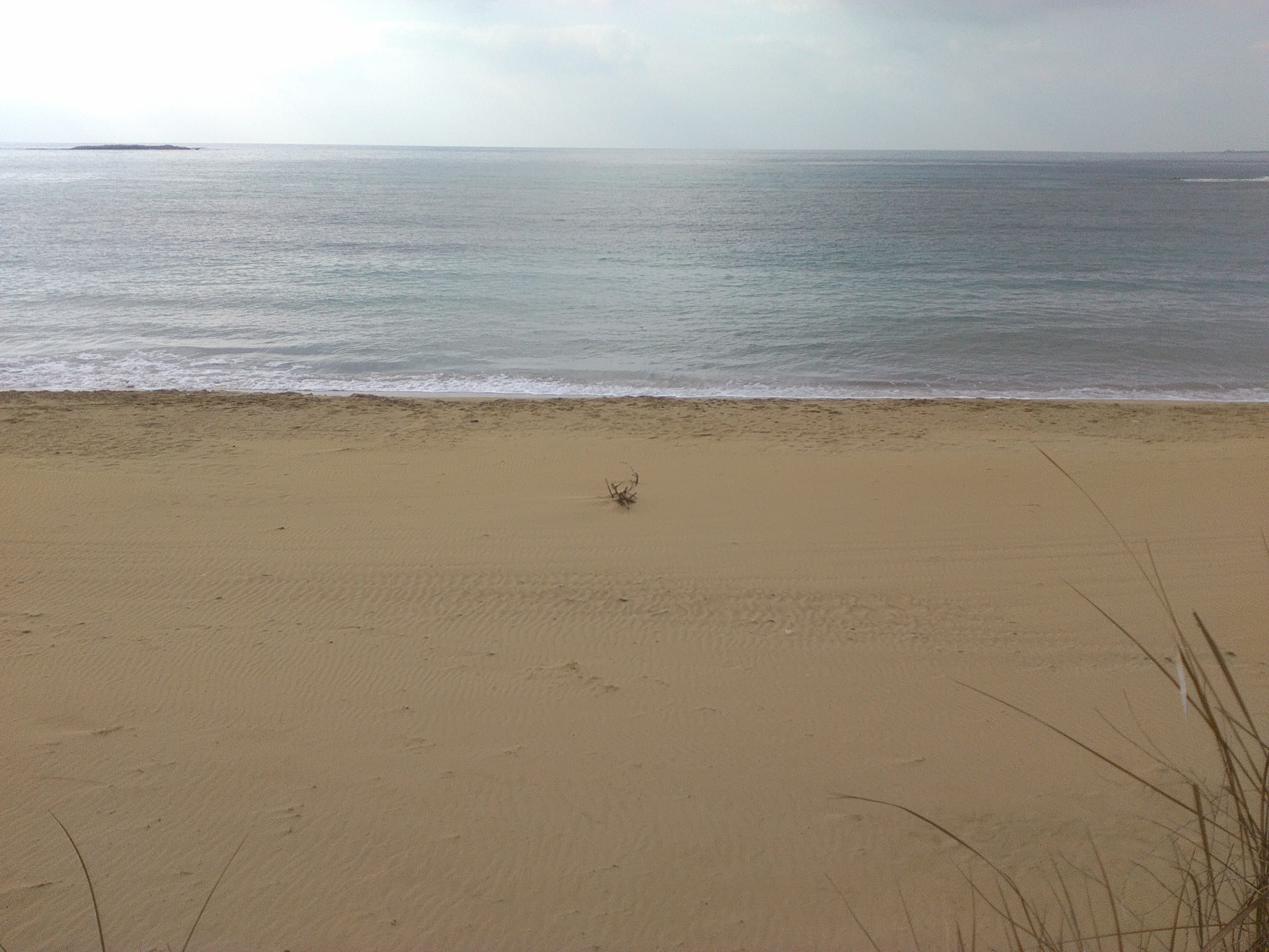 beach, minies village, grey, greece, nature, sea, horizon over water, tranquility, land, water, one animal, sand, 2K, beauty in nature, horizon, no people, HD Wallpaper