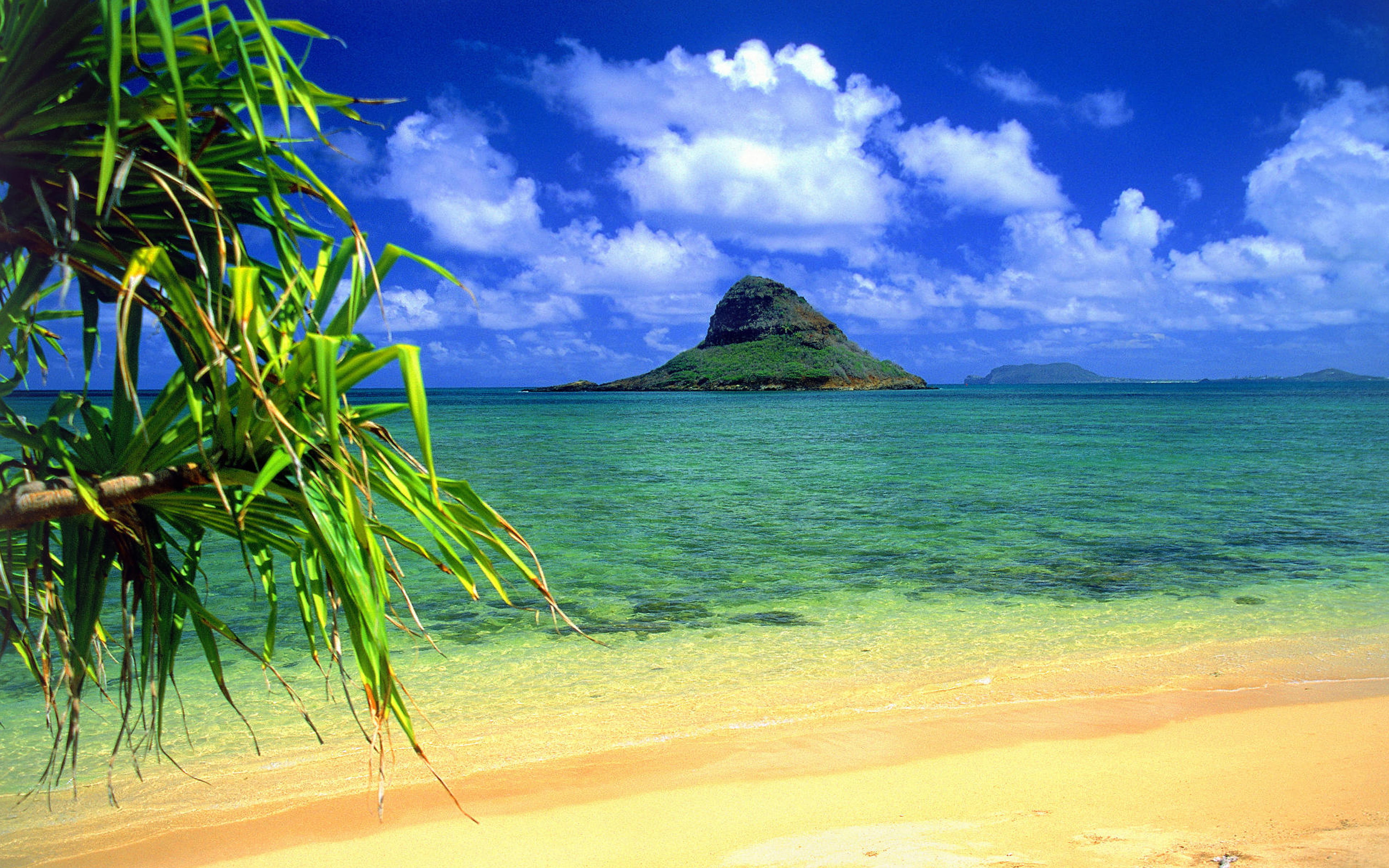 turquoise colored, beauty in nature, chinaman, backgrounds, plant, no people, oahu, desktop, sand, hawaii, tranquil scene, outdoors, sea, hat, cloud - sky, HD Wallpaper