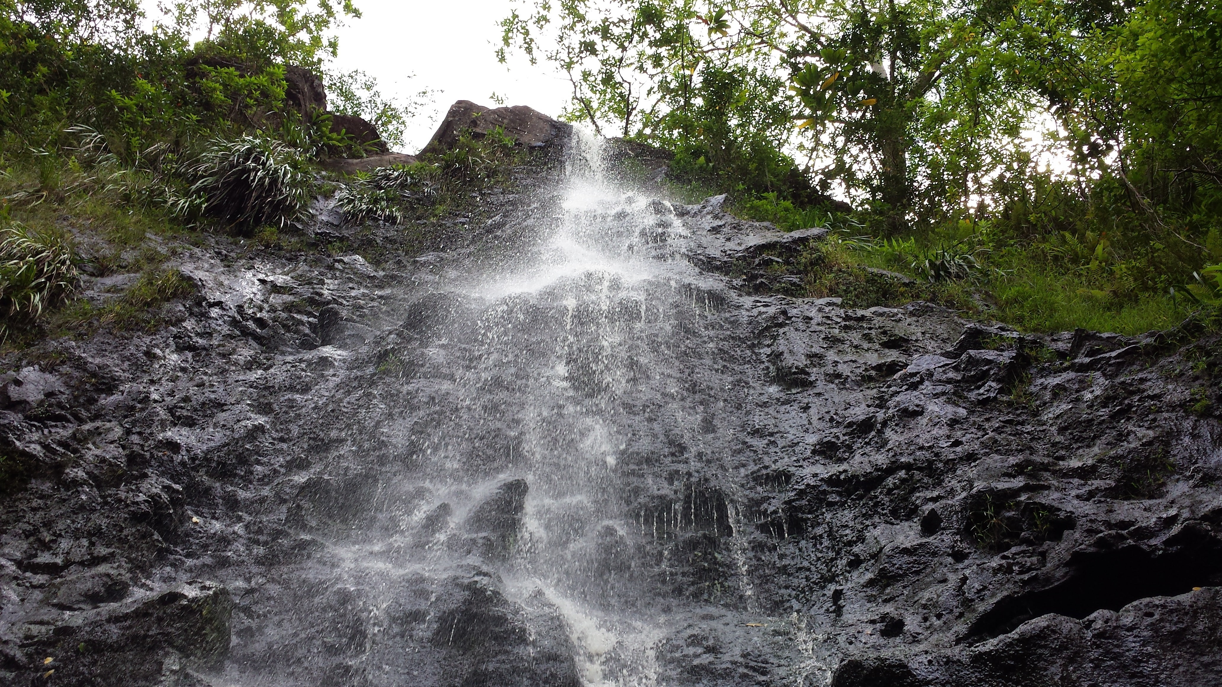outdoors, long exposure, water, flowing water, no people, 4K, formation, Hawaii, falling water, oahu, flowing, non-urban scene, forest, low angle view, HD Wallpaper