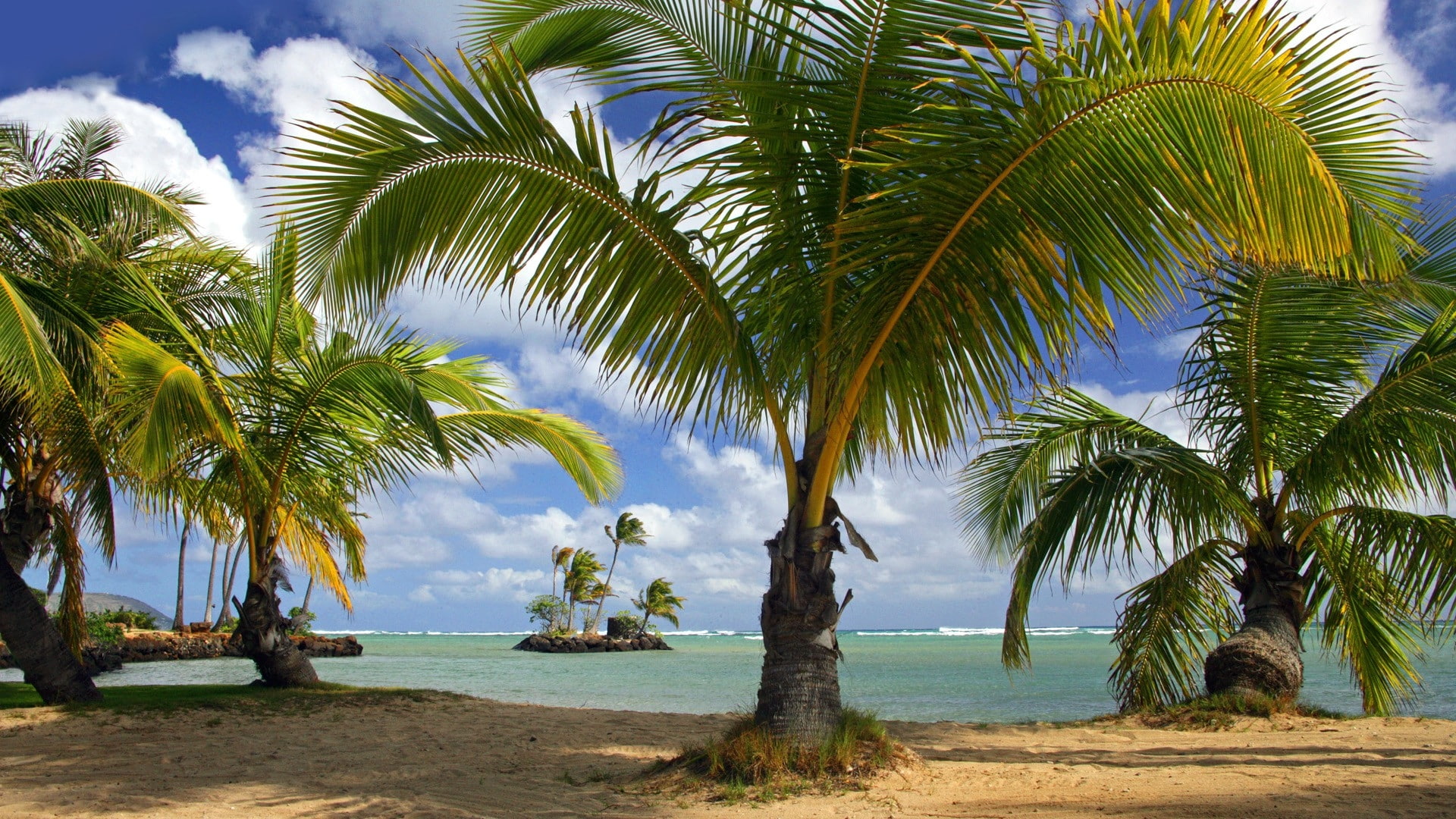 hd, Hawaii, tropical, parks, beach, art, nature, oahu, x, beaches, 1080P, HD Wallpaper