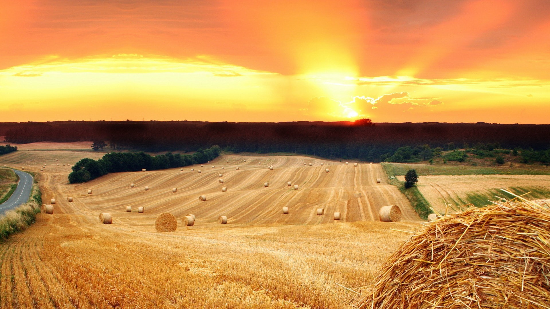 landscape, cloud - sky, beauty in nature, tranquility, environment, hay, farm, plant, no people, sunset, nature hd  for pc download 1920x1080, agriculture, HD Wallpaper