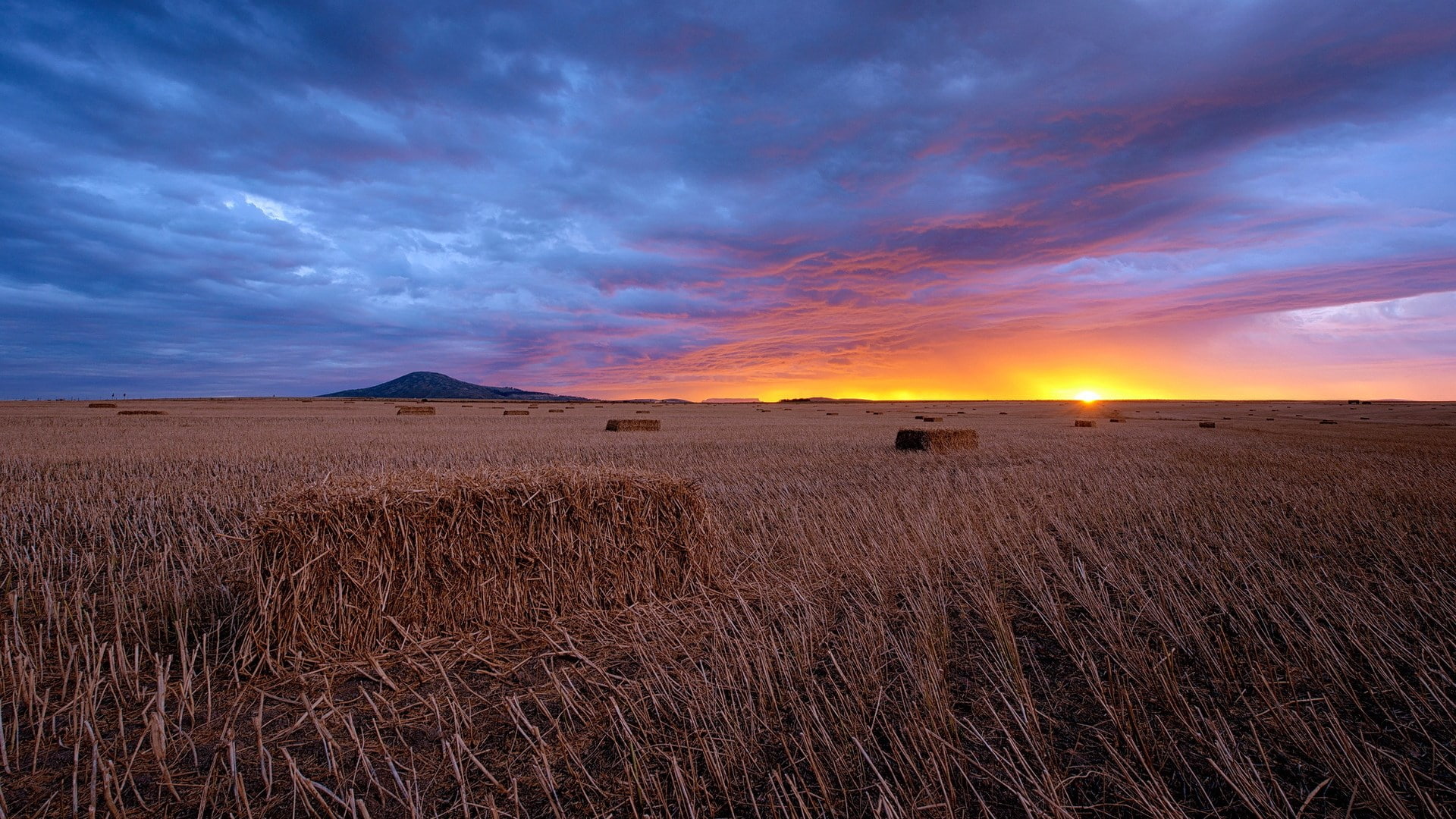horizon, horizon over land, sky, agriculture, sunset, landscape, dry, nature, beauty in nature, 1080P, rural scene, outdoors, grass, cloud - sky, environment, HD Wallpaper