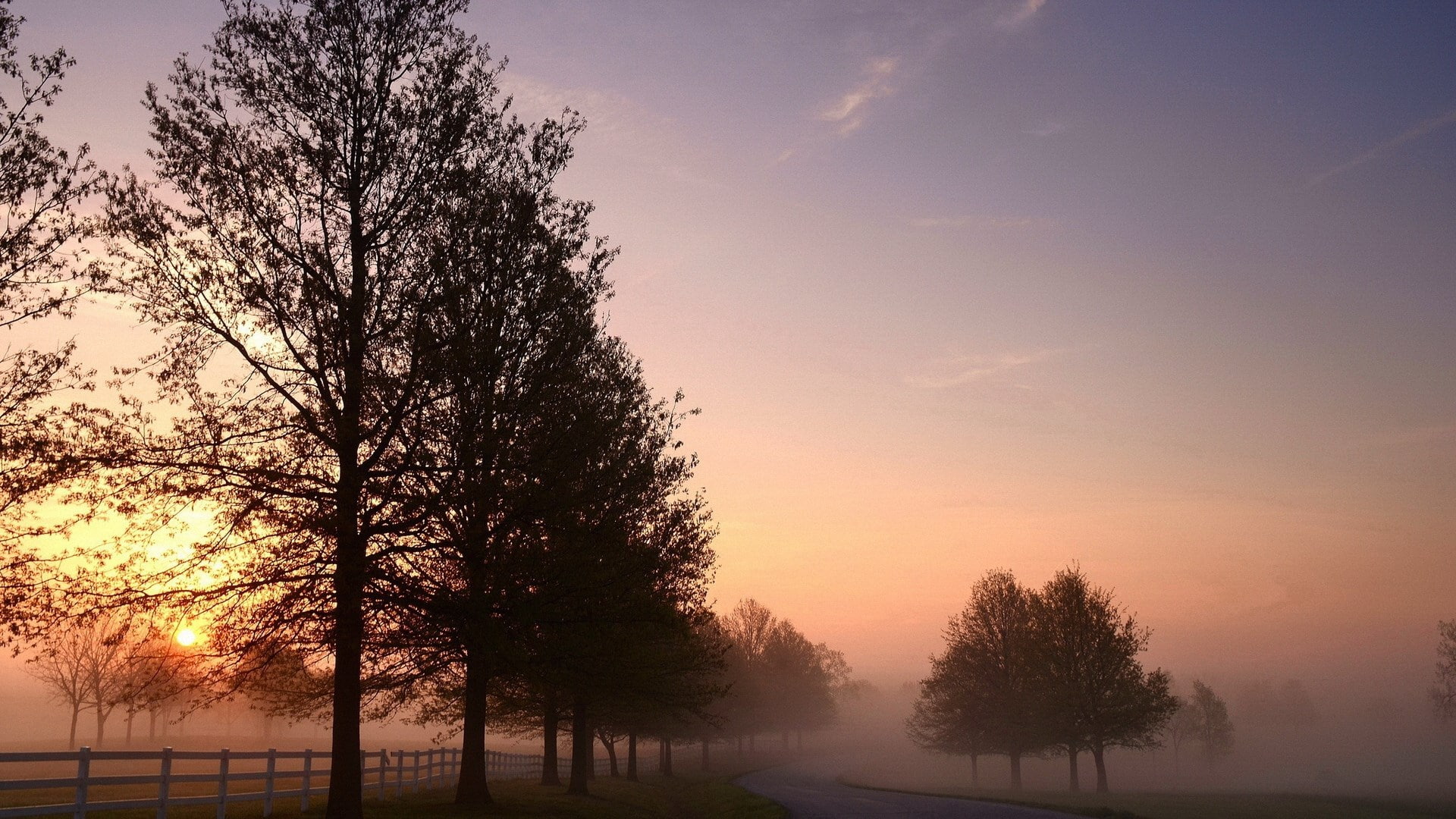 1080P, nature, sun, tranquility, twilight, sunset, sky, no people, non-urban scene, plant, tranquil scene, orange color, fog, treelined, outdoors, scenics - nature, HD Wallpaper